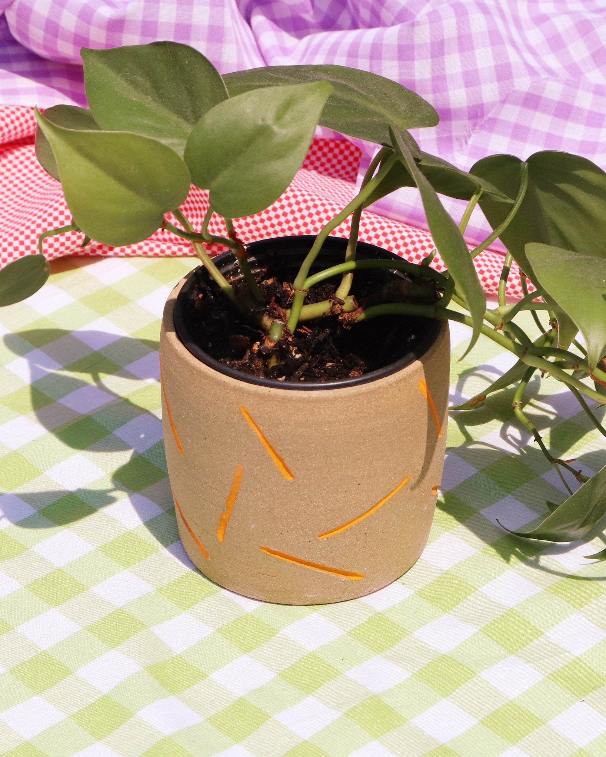 dash planter-3.jpg