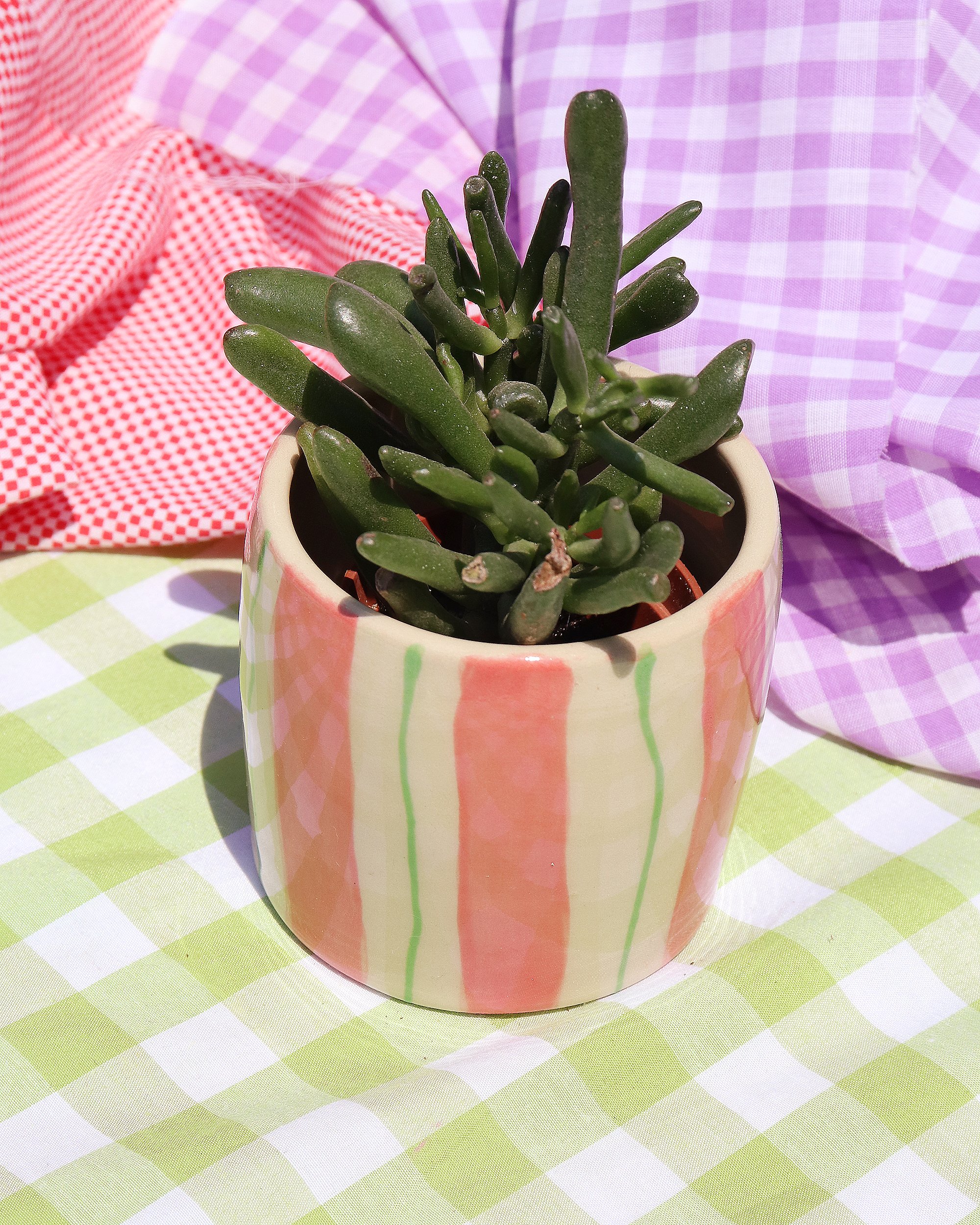 Candy Planter