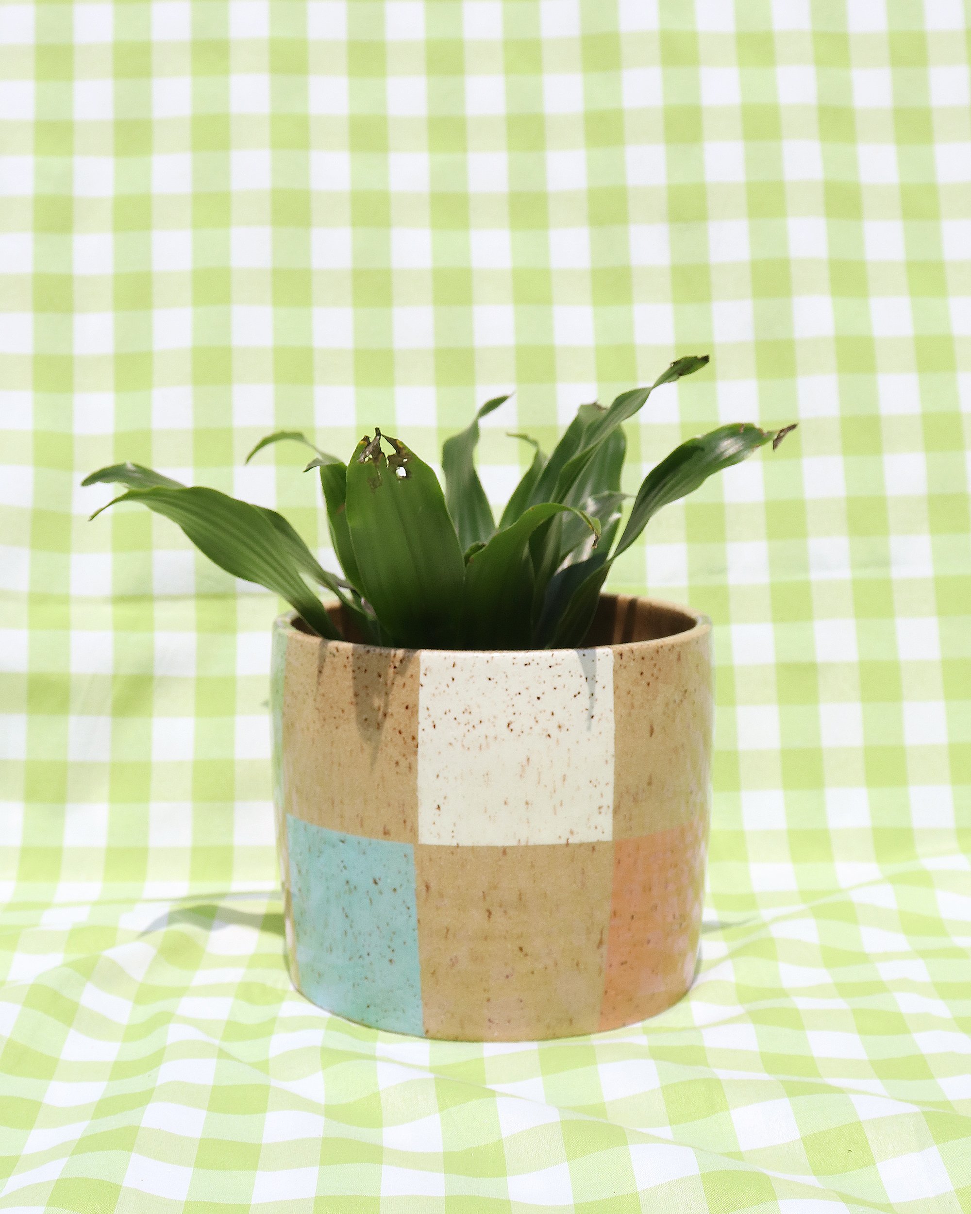 checkerboard planter-1.jpg