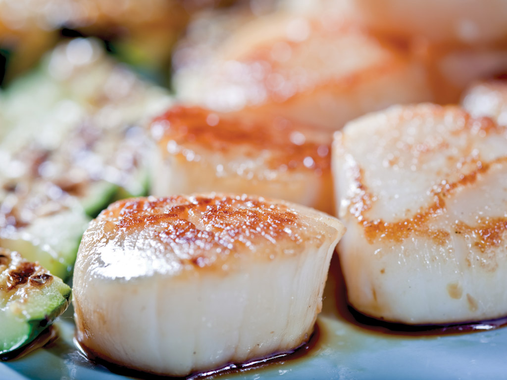 scallop.jpg