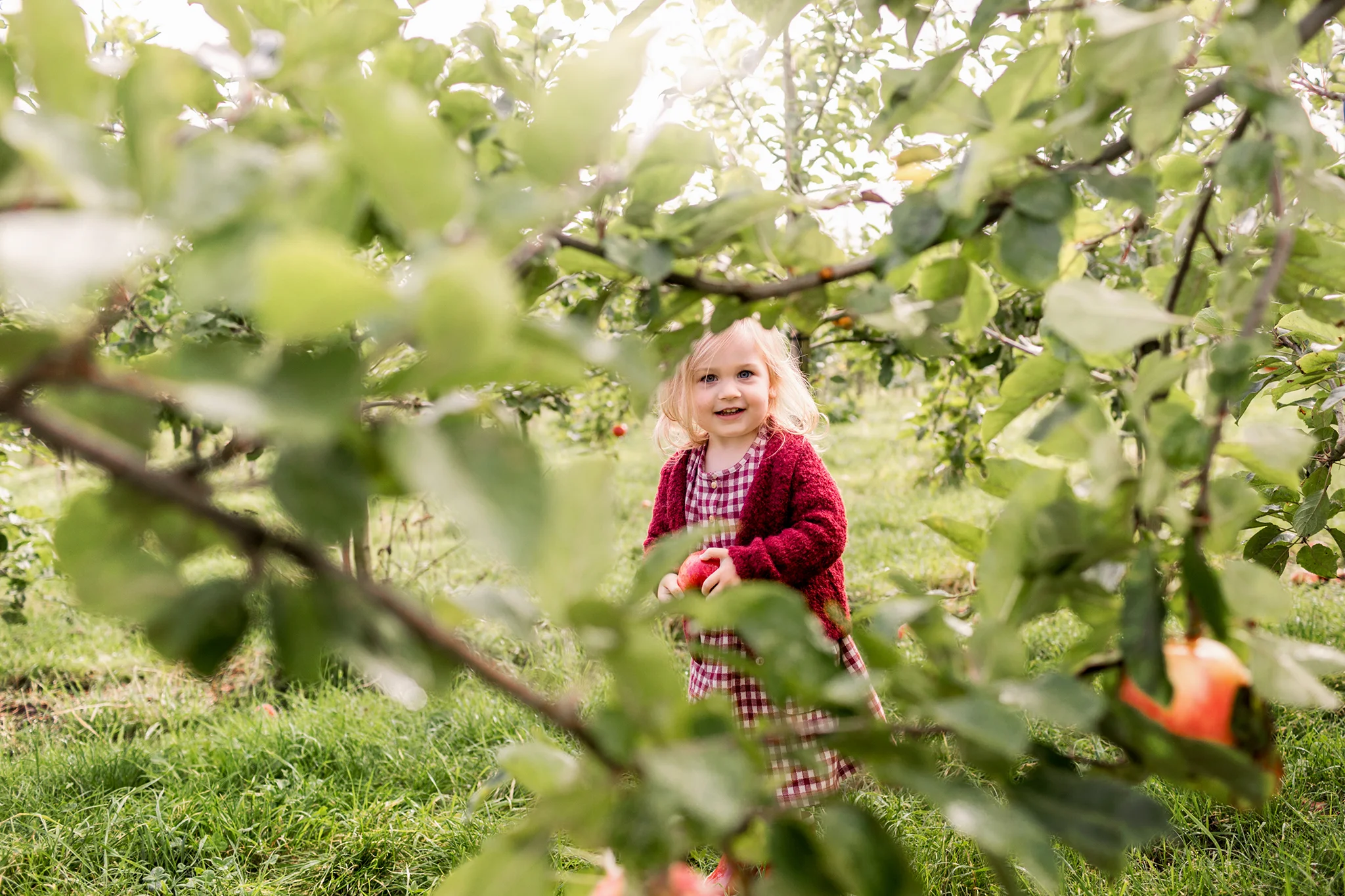 fruittuin-van-west-fotoshoot.jpg
