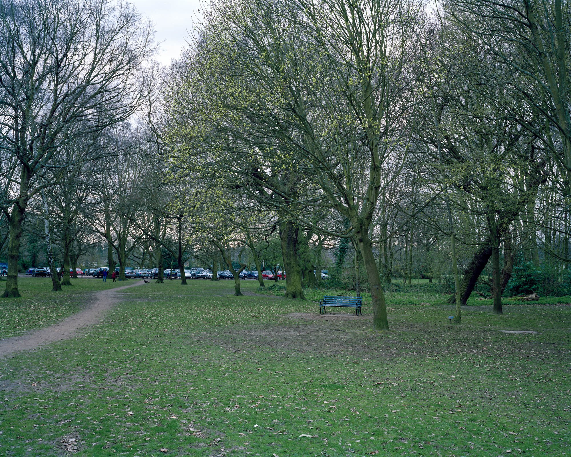 Common Places11.jpeg