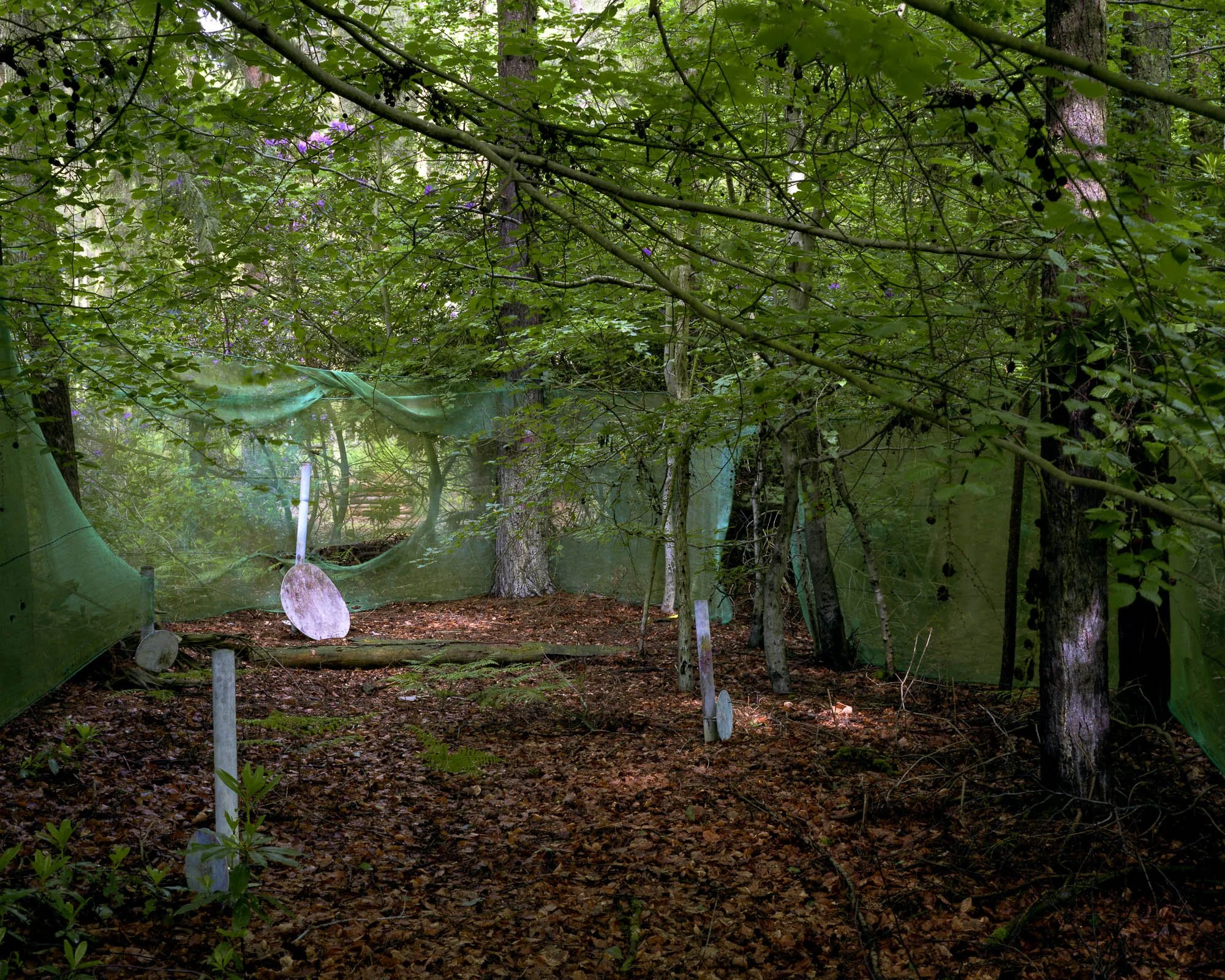 Into The Woods12.jpeg