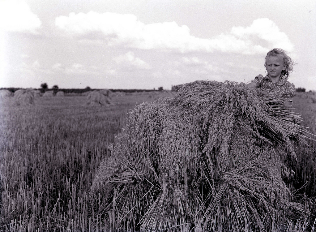 Photographs by Pete Wettach