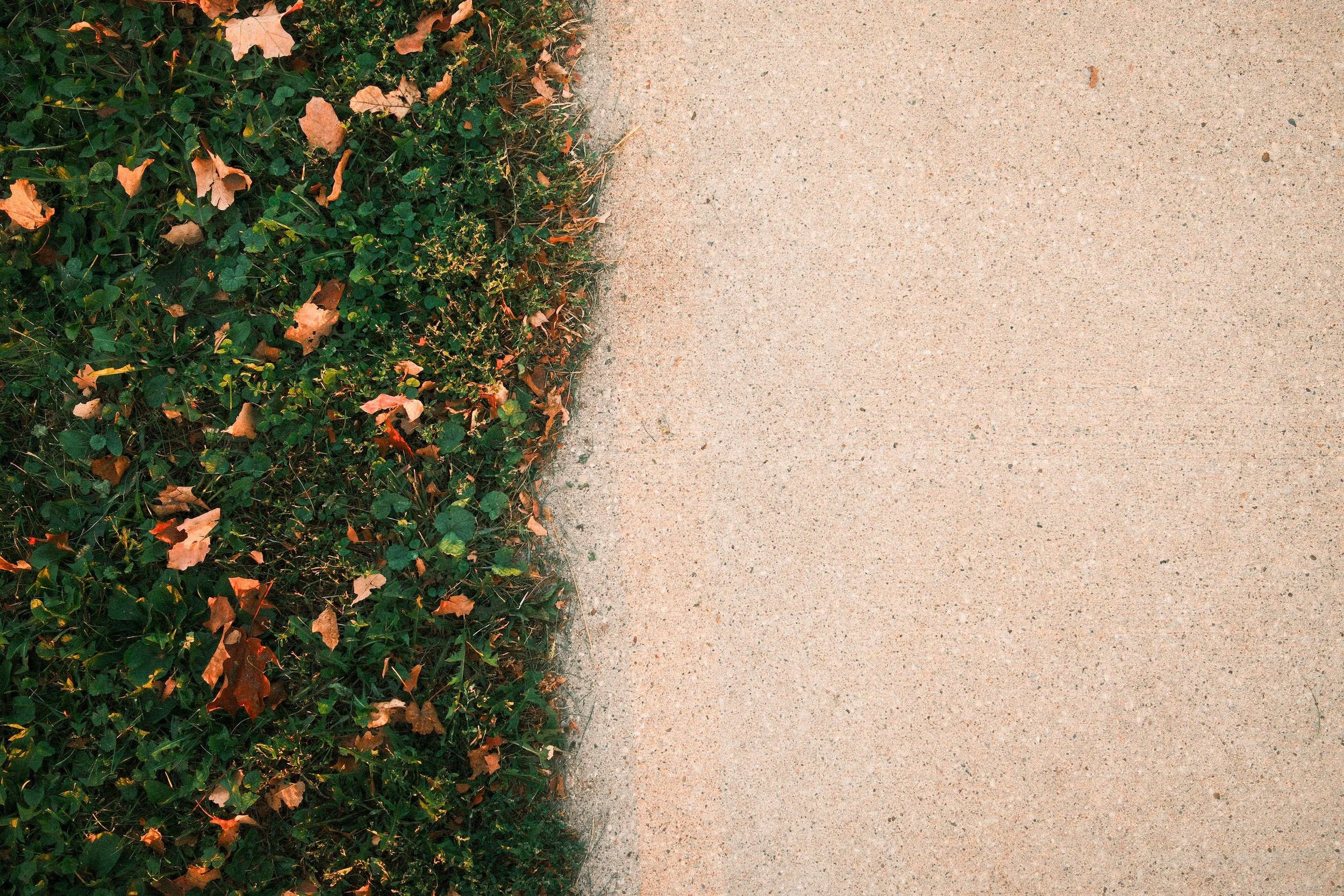 Website_Walkable01.JPG
