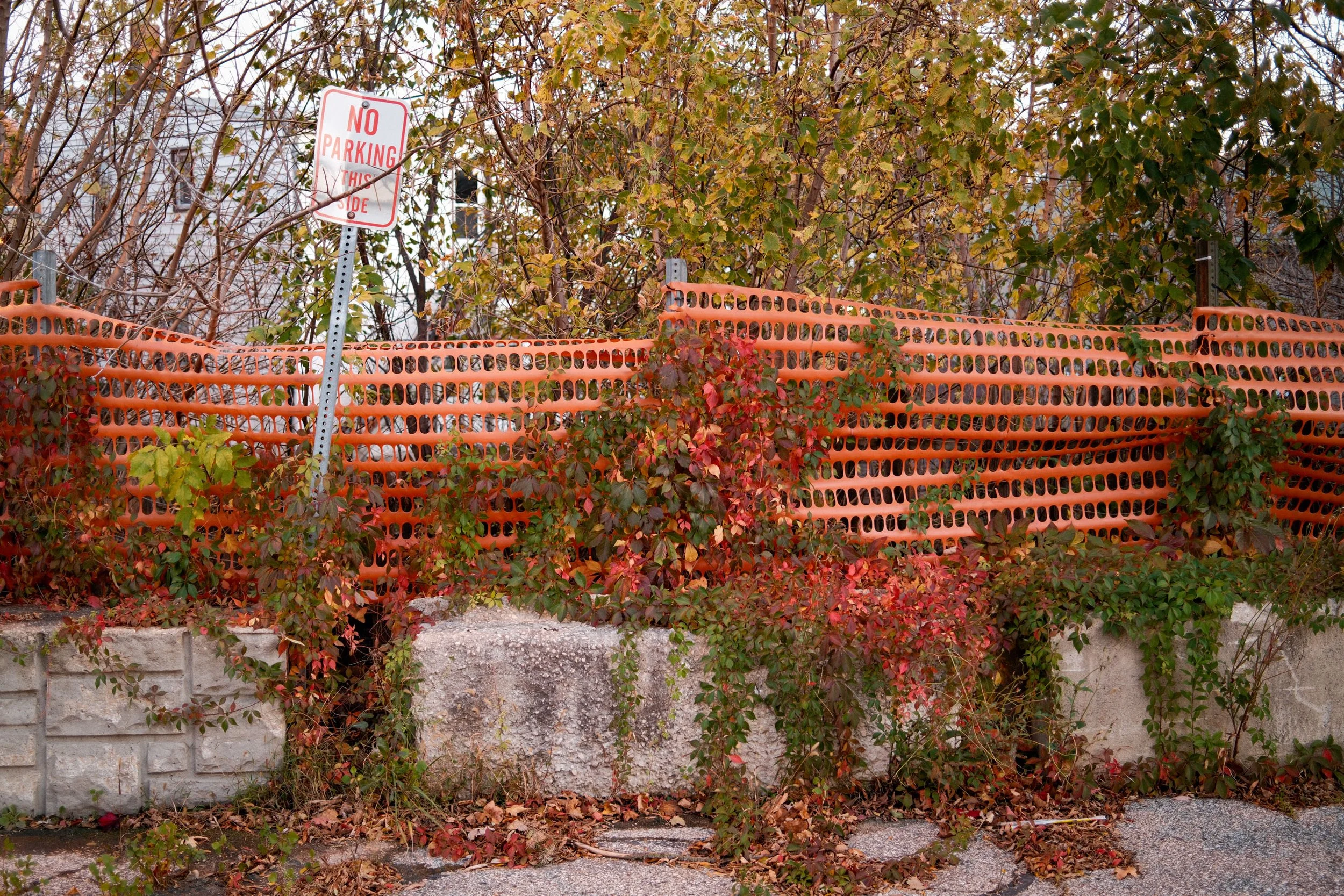 Website_Walkable27.JPG