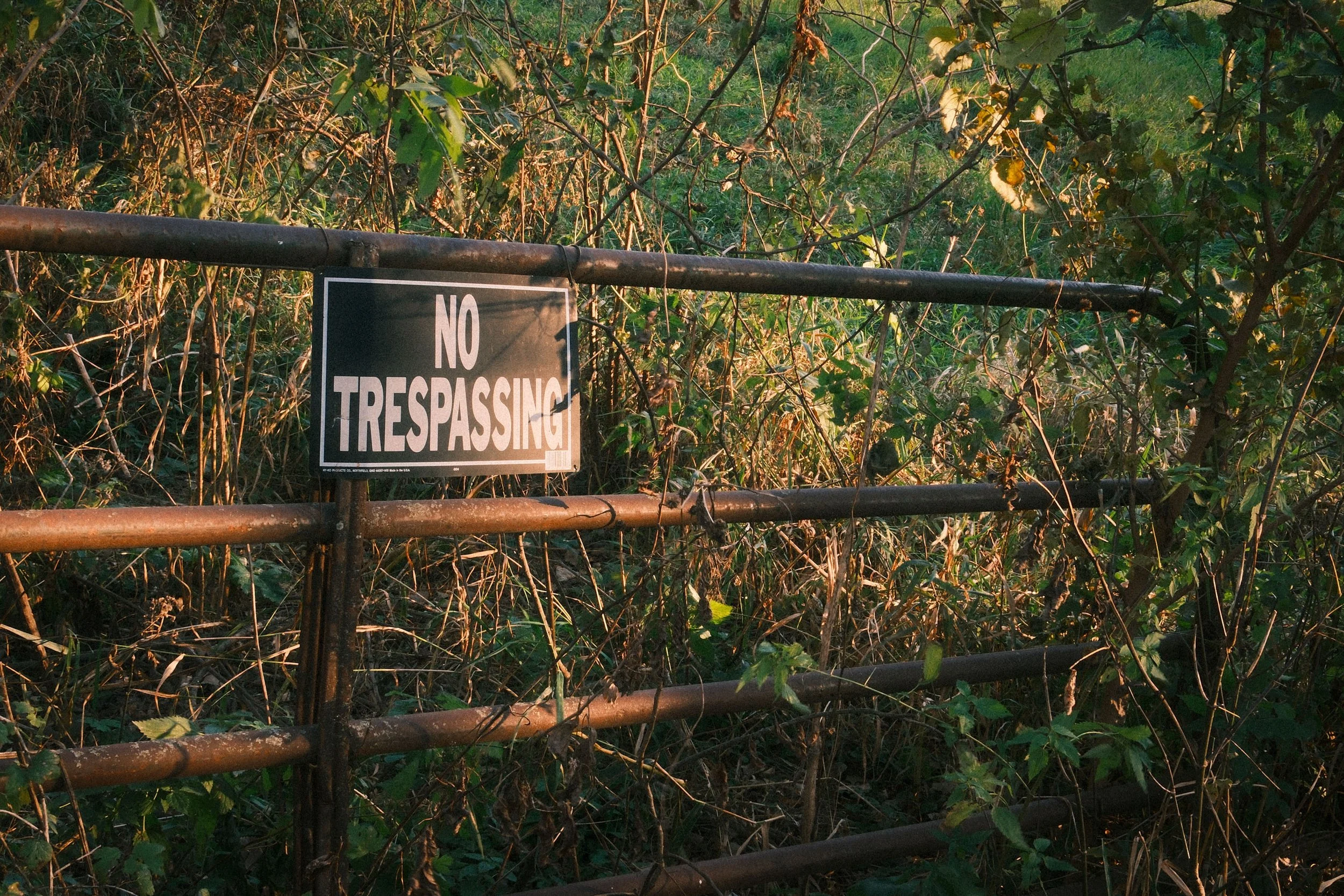 Website_Walkable30.JPG