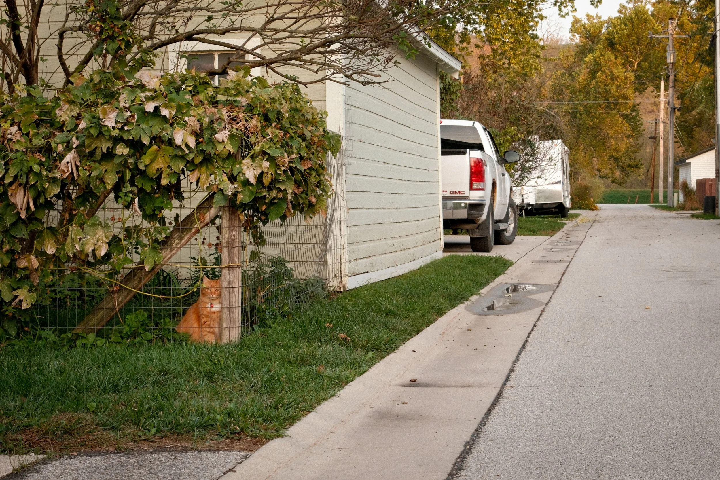 Website_Walkable10.JPG