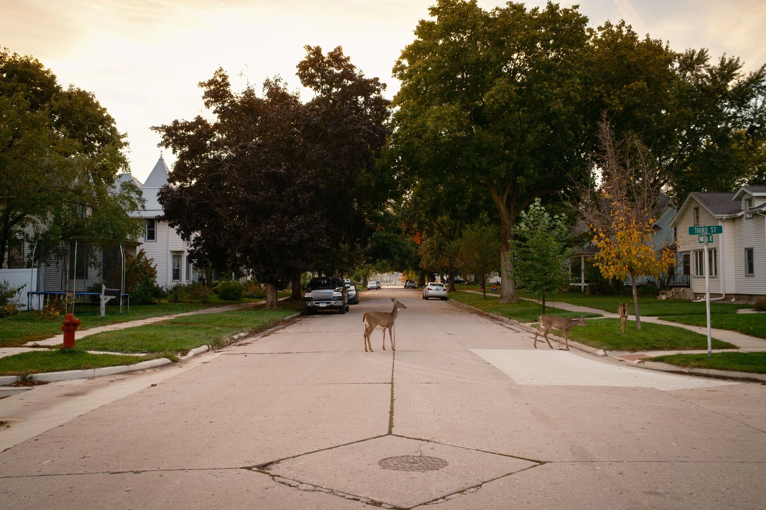 Website_Walkable13.JPG