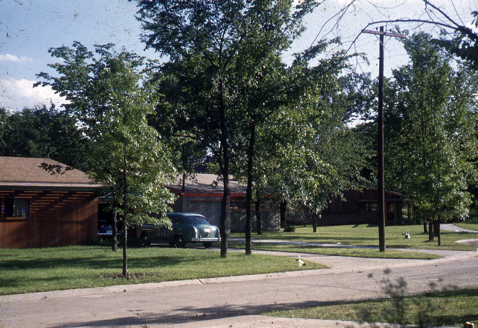 215140_001.jpg
