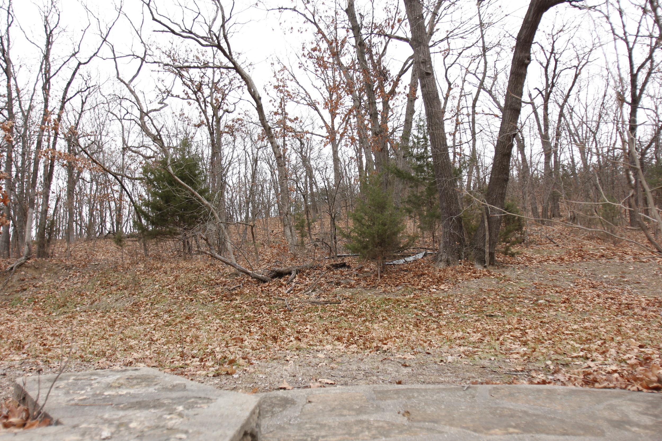_MG_0985.JPG