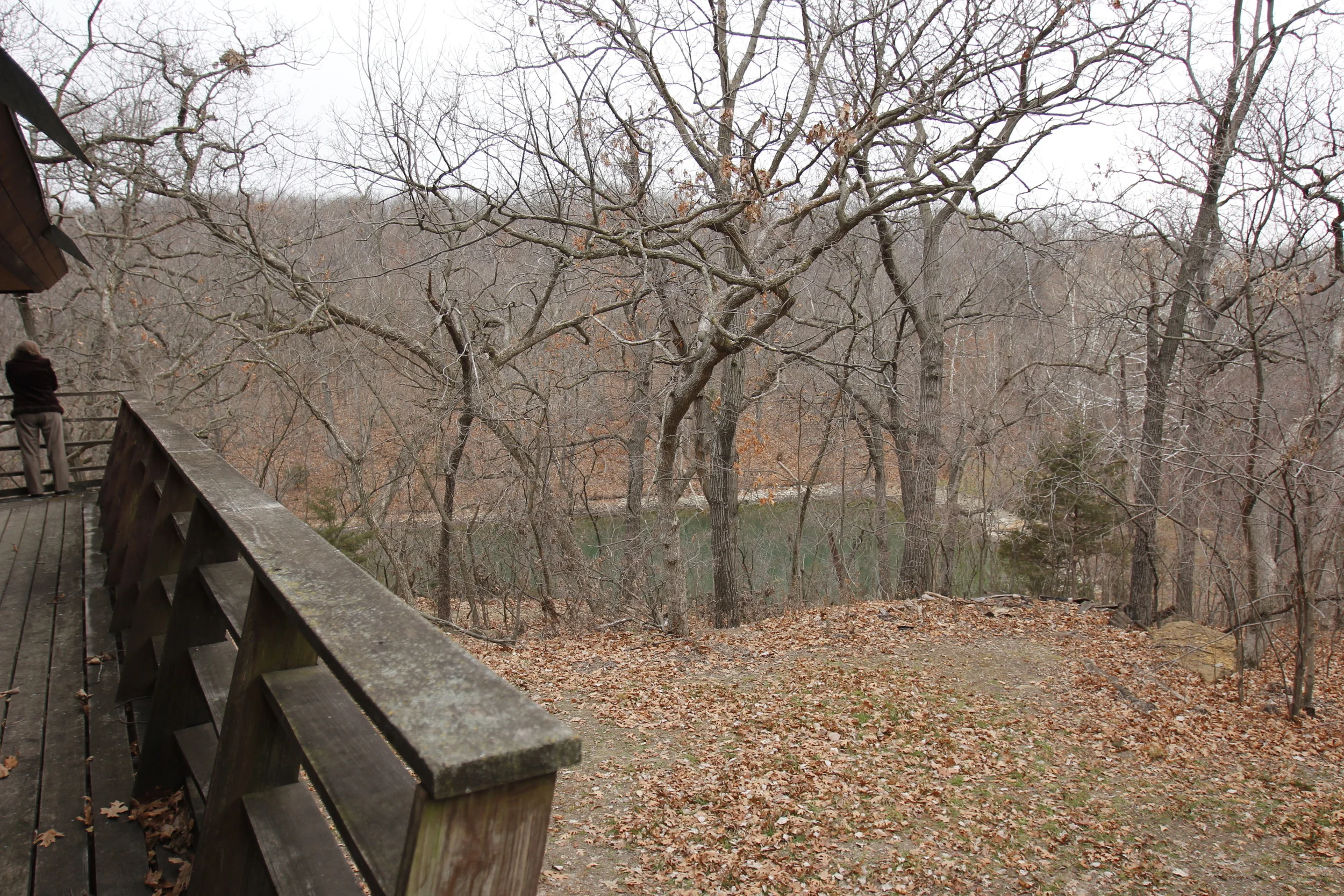 _MG_0959.JPG