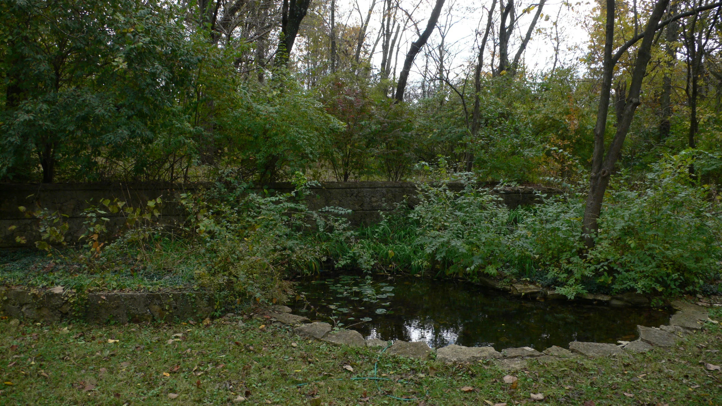 L1030031.JPG