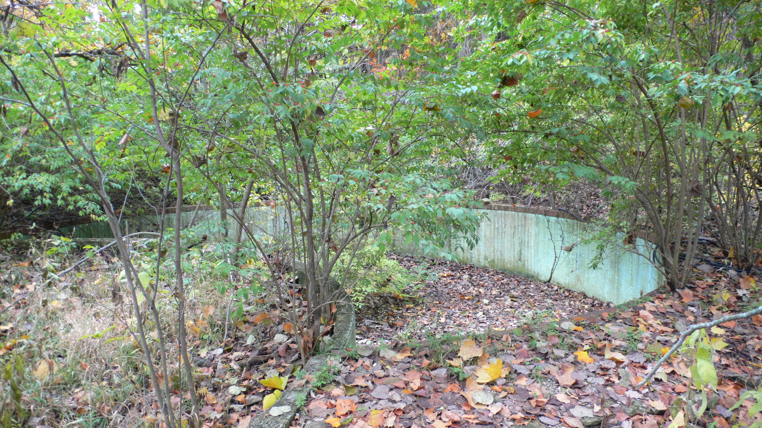 L1030035.JPG