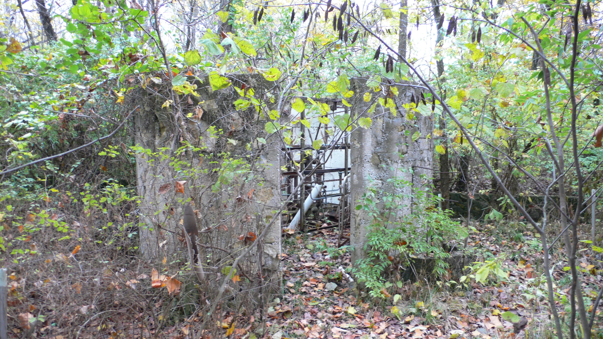 L1030037.JPG