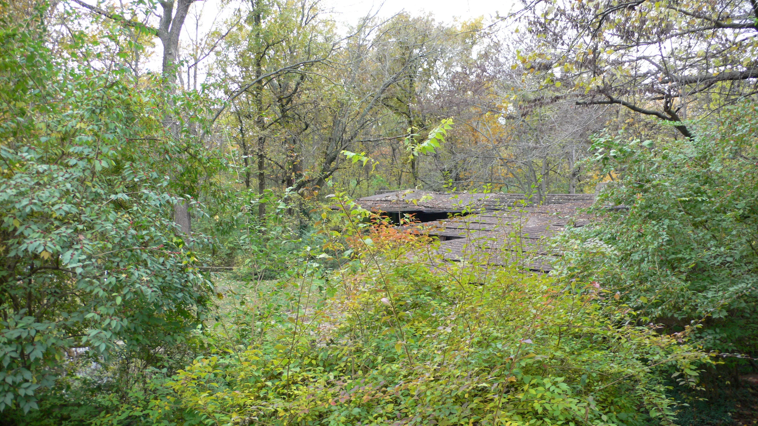 L1030041.JPG