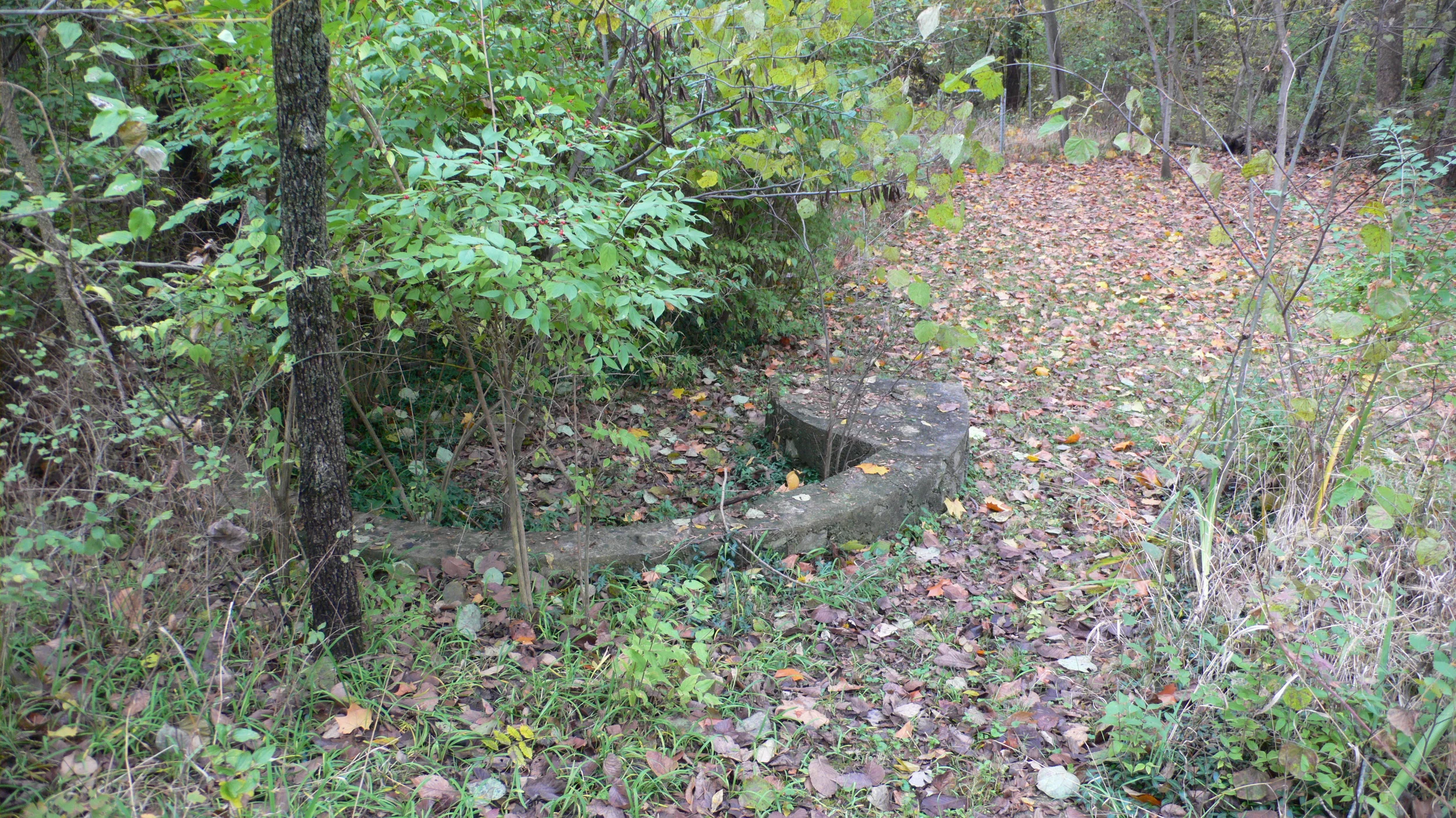 L1030043.JPG