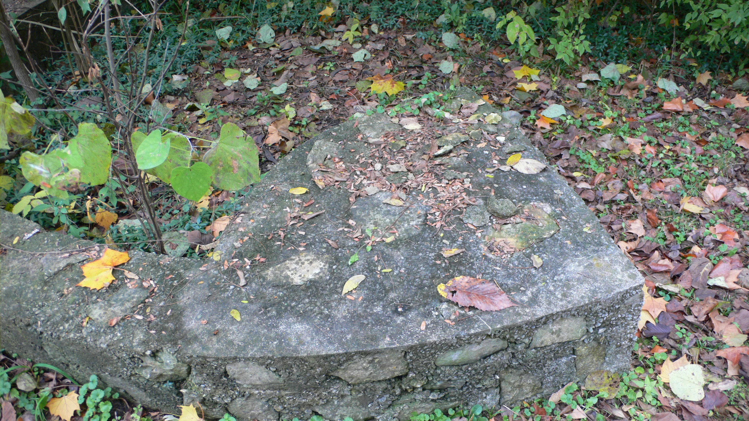 L1030044.JPG