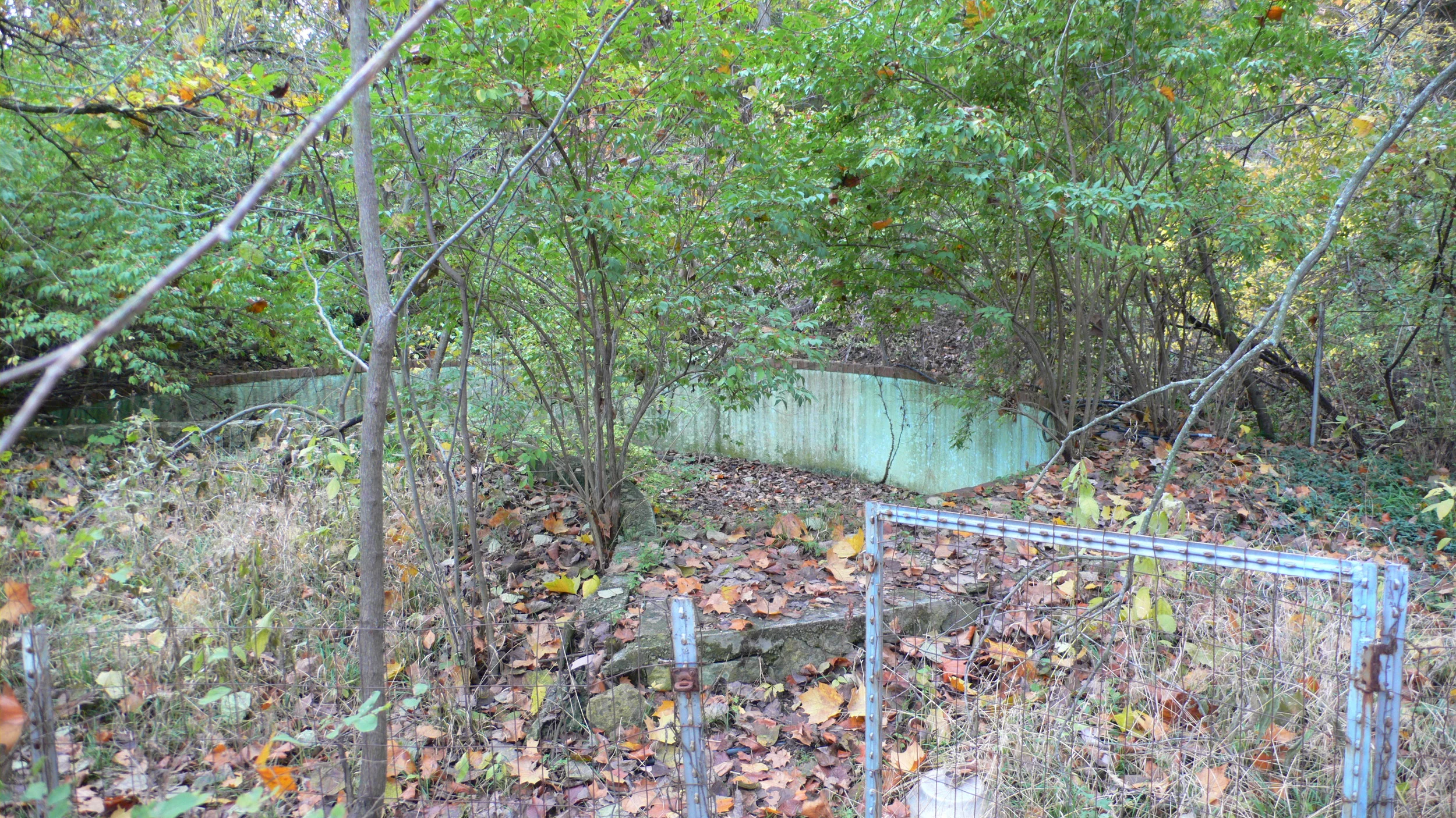 L1030046.JPG
