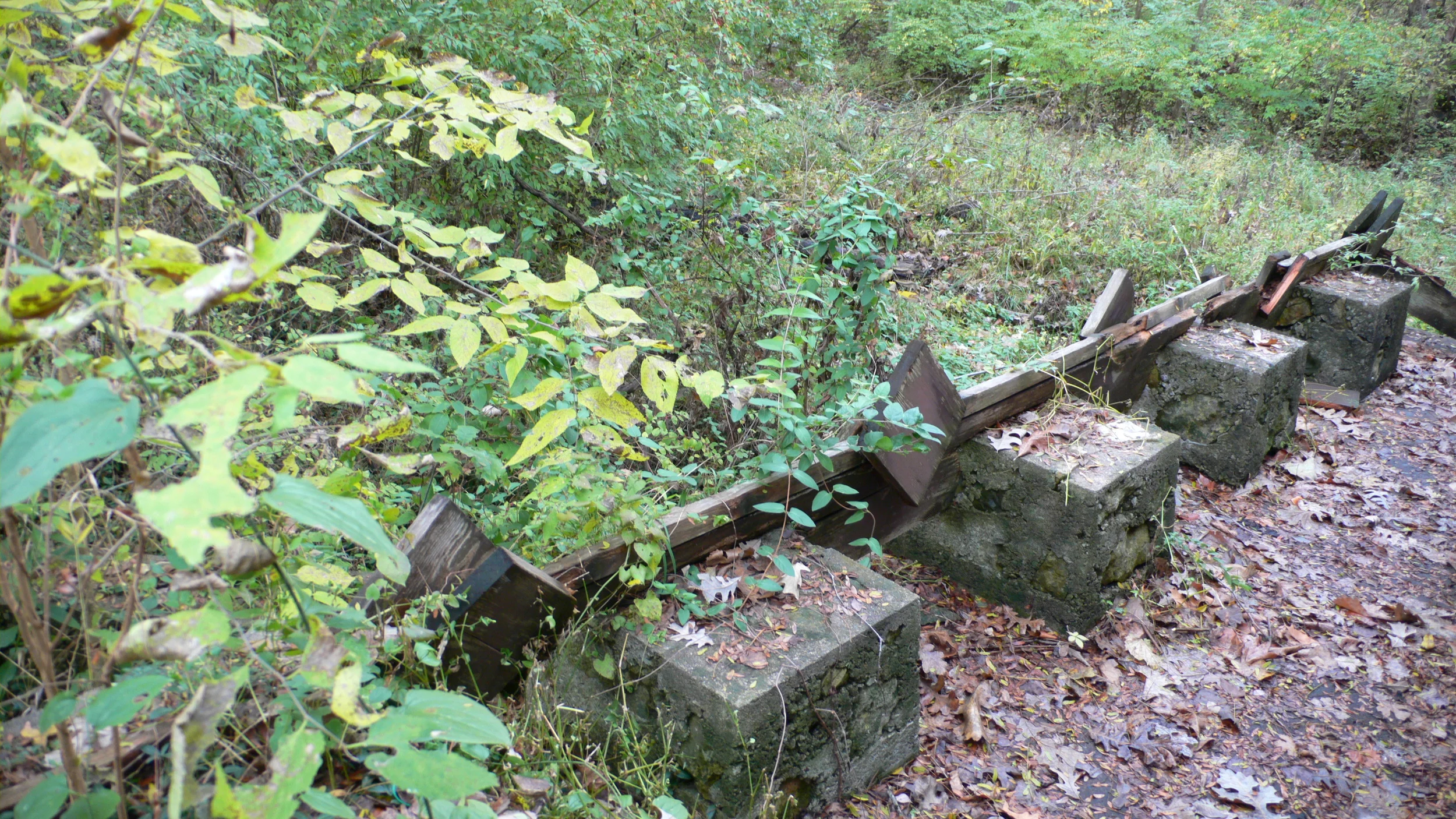 L1030048.JPG
