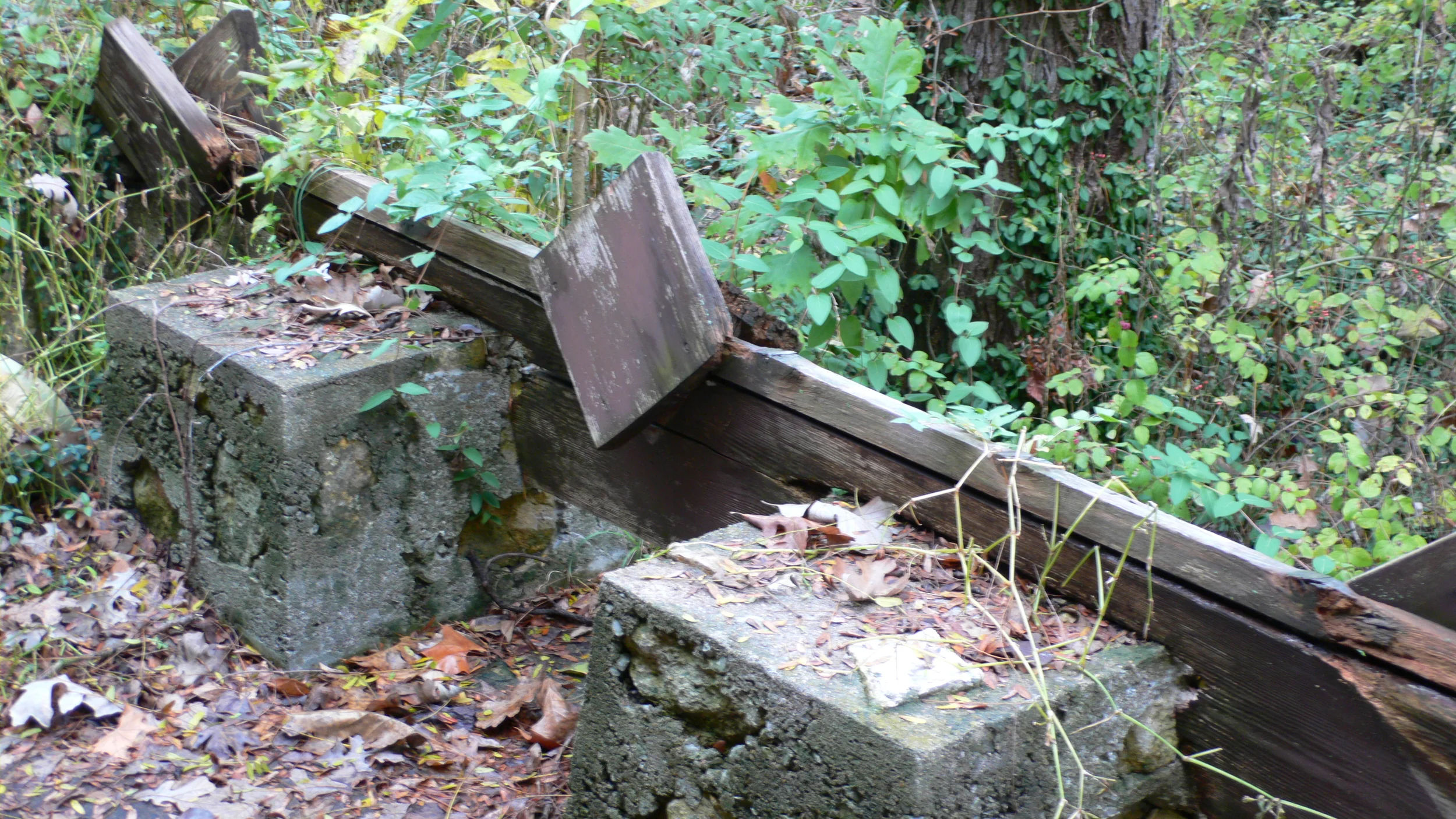 L1030050.JPG