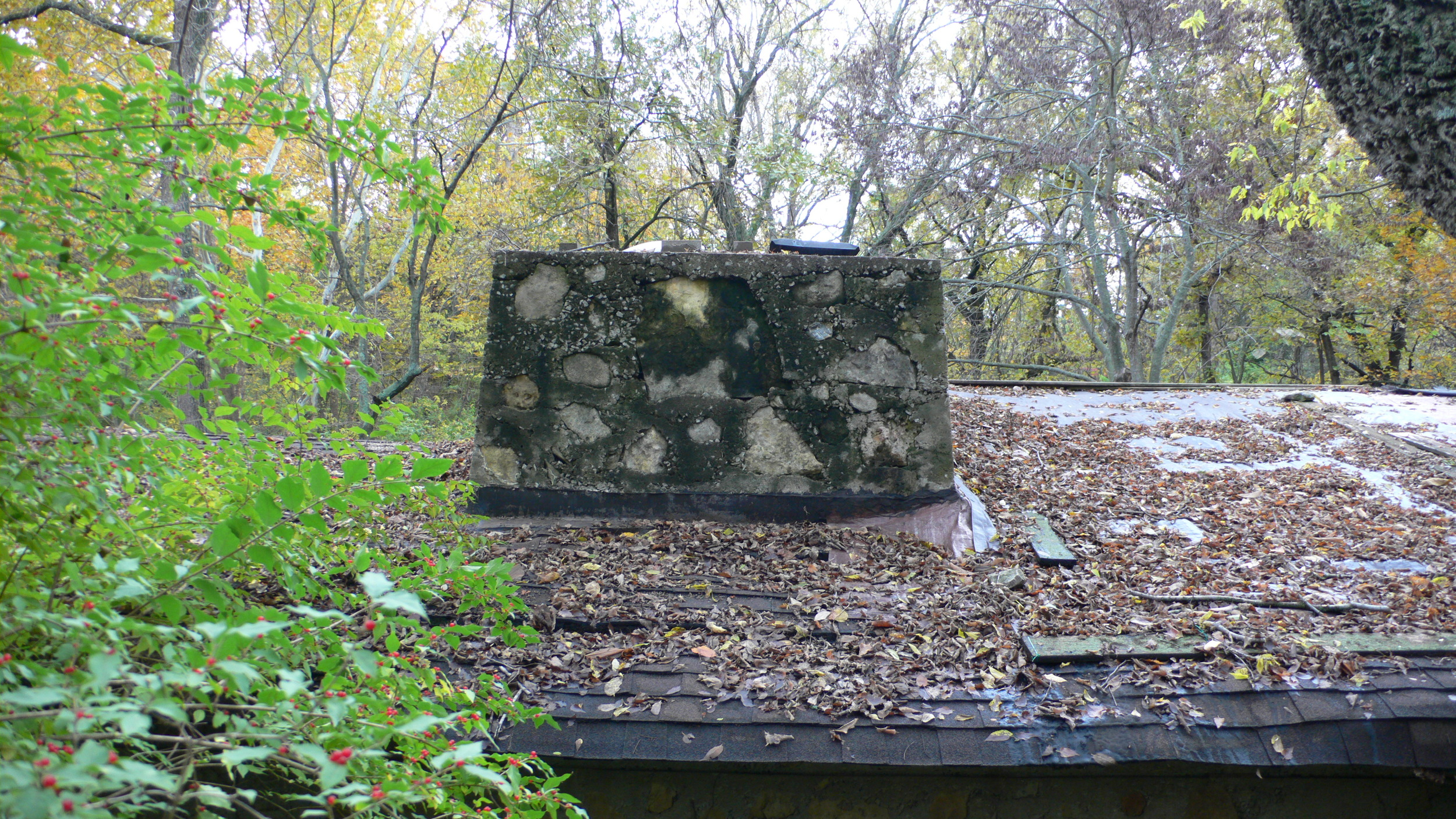 L1030056.JPG