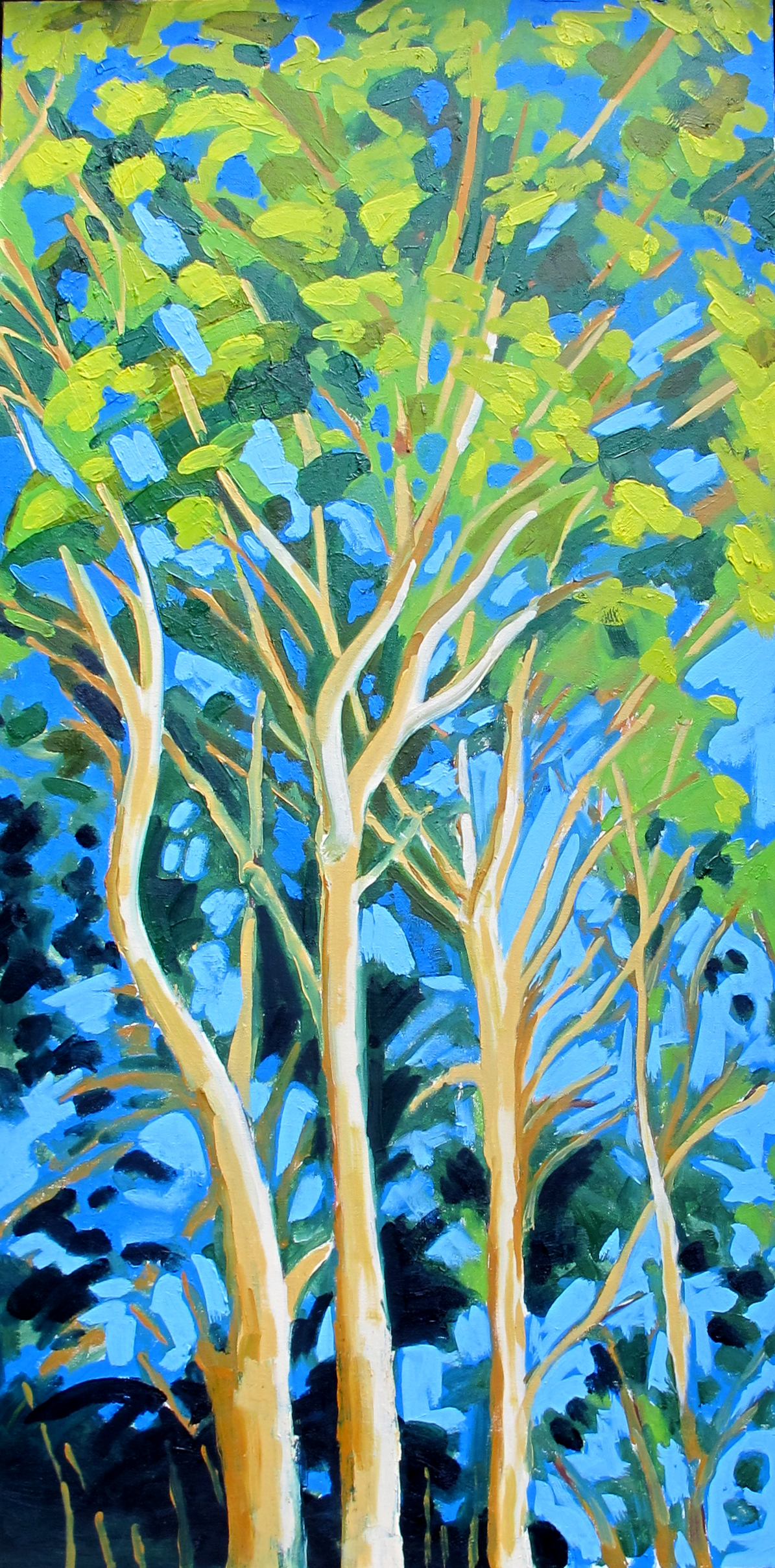 Birch Trees 1 - Oil on canvas - 2' x 4'