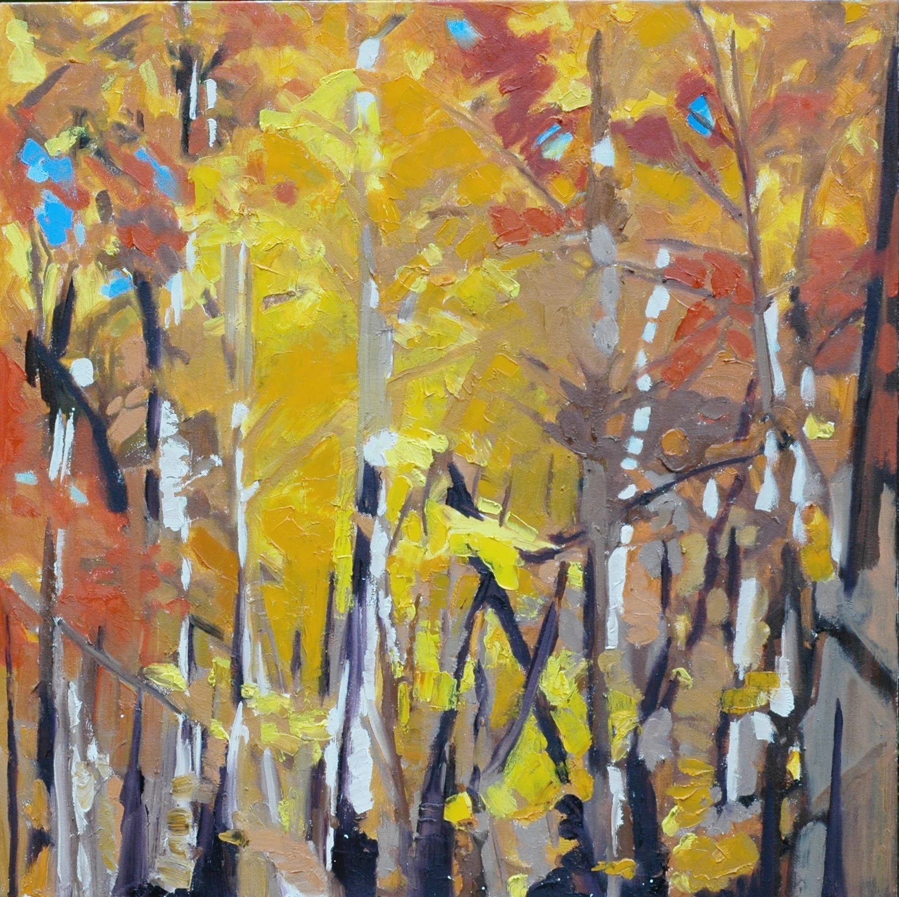 AUTUMN WOODS 1 - OIL ON CANVAS - 30"X30"