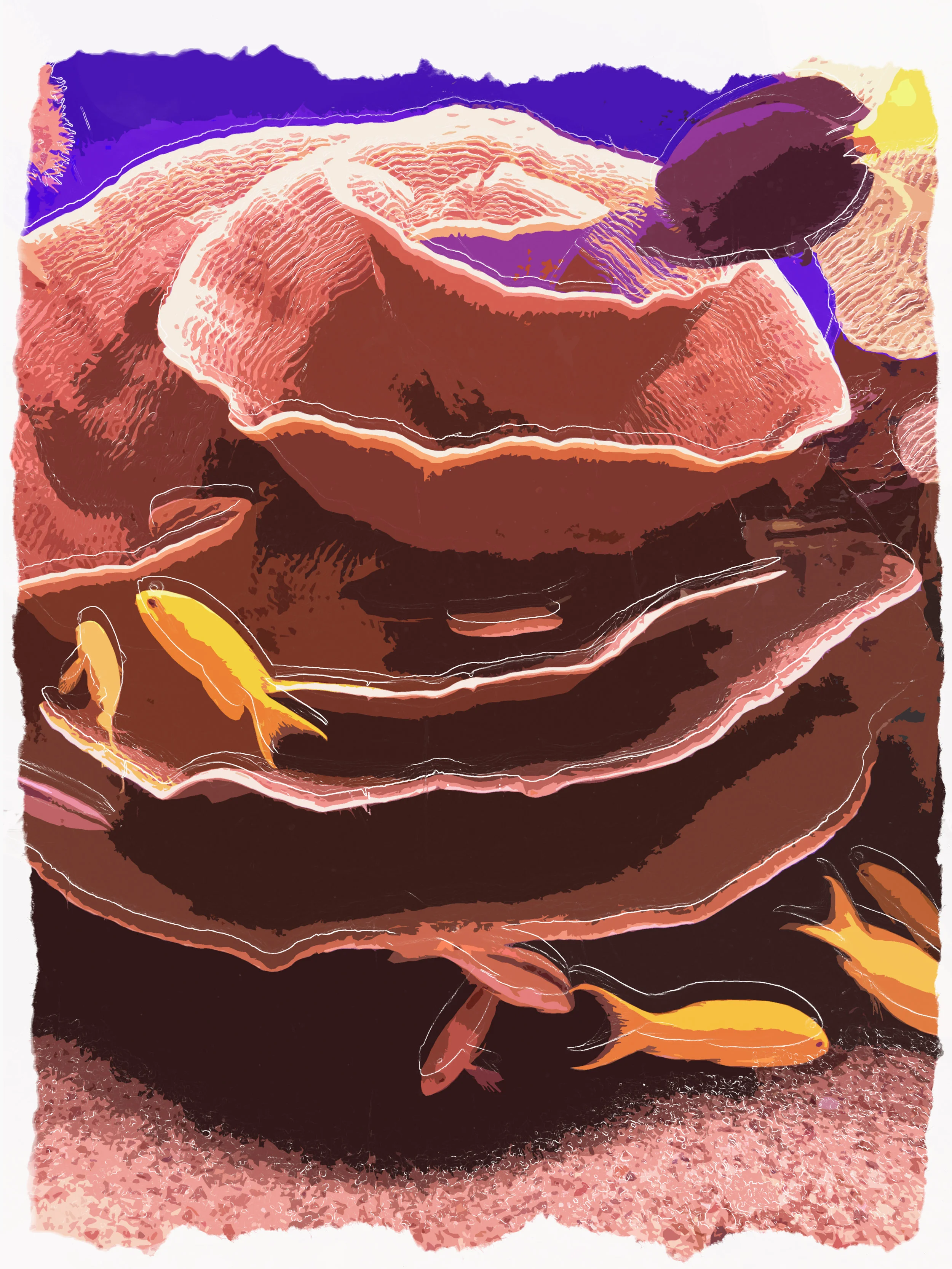 Coral Reef 1