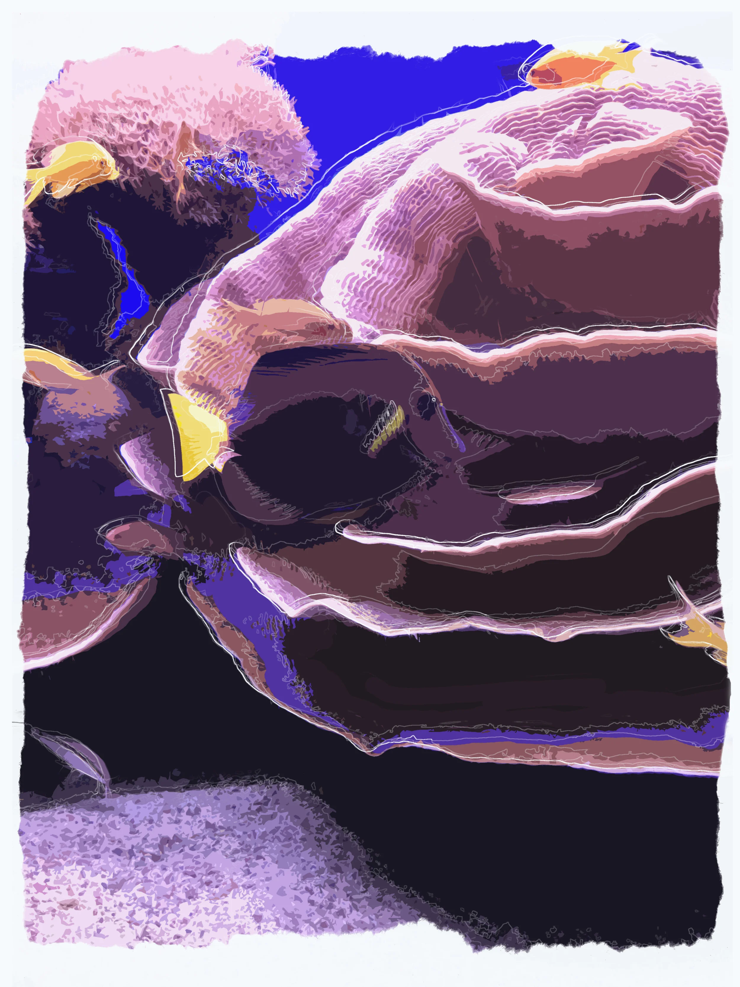 Coral Reef 6