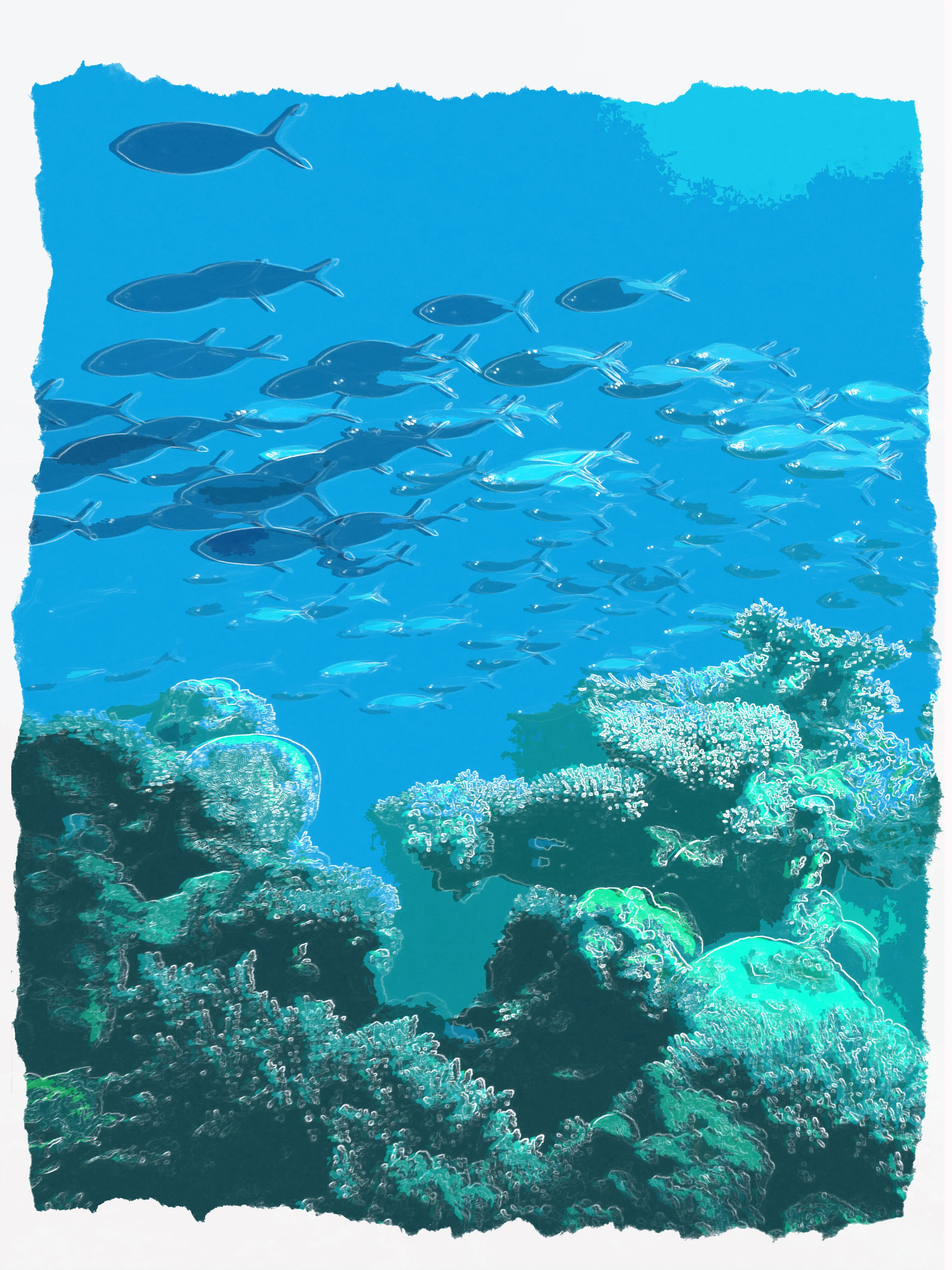 Coral Reef 5