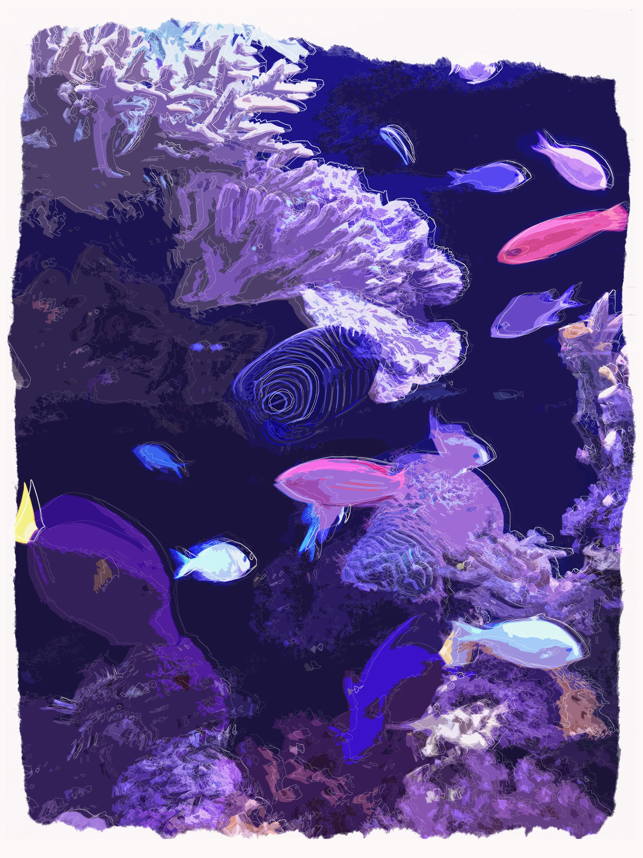 Coral Reef 3