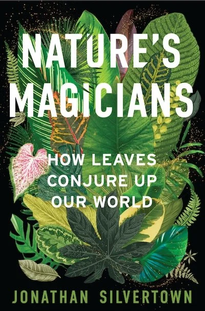 Nature's Magicians thumbnail.jpg