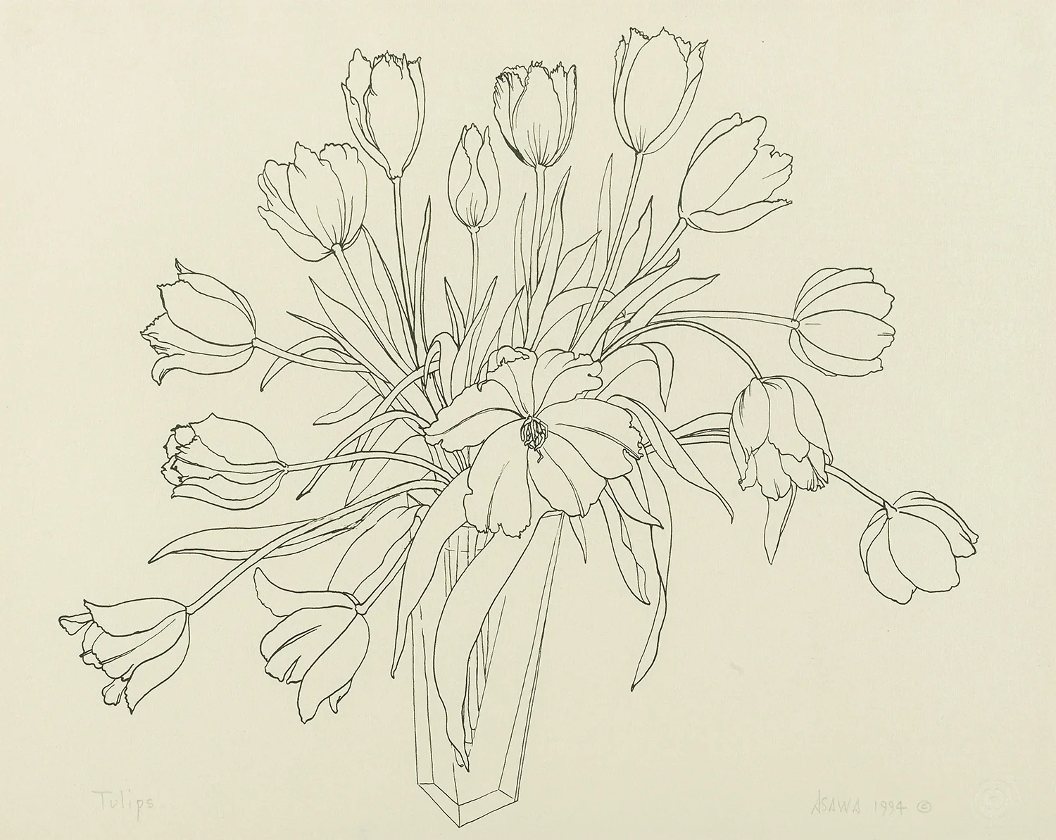   Tulips , 1994 ink on paper 10 1/4 x 13 inches (26 x 33 cm) sold 