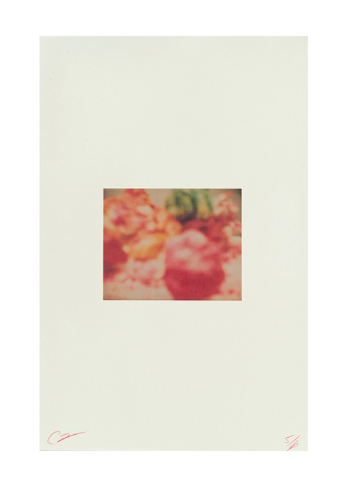 Cy Twombly Photographs 2016年初版 頁付け無し HC Cy Twombly