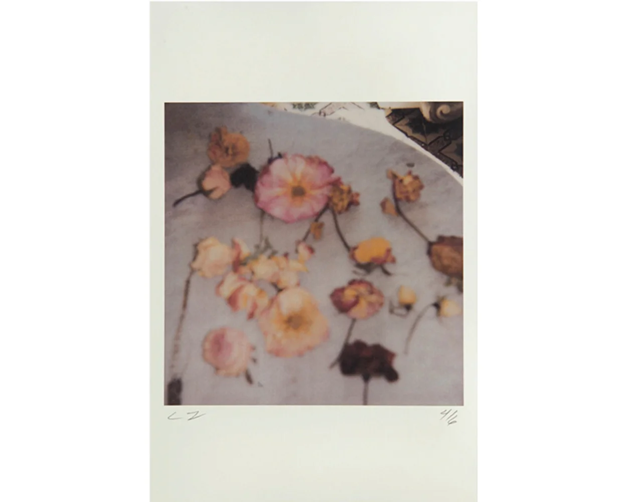 Light Flowers, Gaeta , 2008 color dry-print 17 x 11 inches (43.18 x 27.94 cm) sold