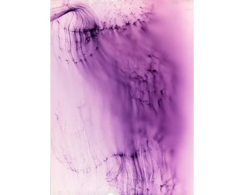   Freischwimer 102,&nbsp; 2006 c-type print 94 1/2 x 70 7/8 inches (240.03 x 180.04 cm) sold 