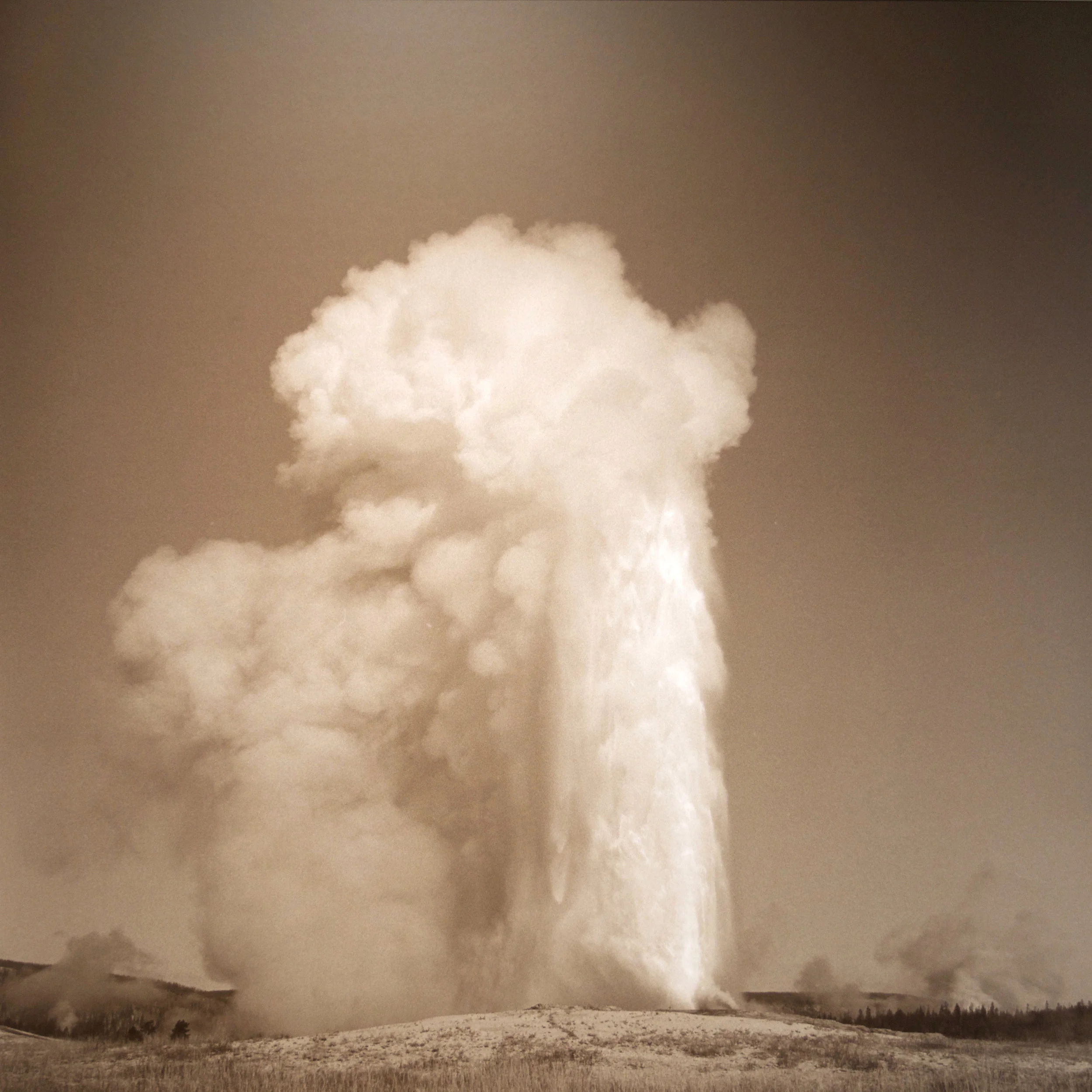 Old Faithful, 1990 selenium toned silver gelatin 45 x 45 inches