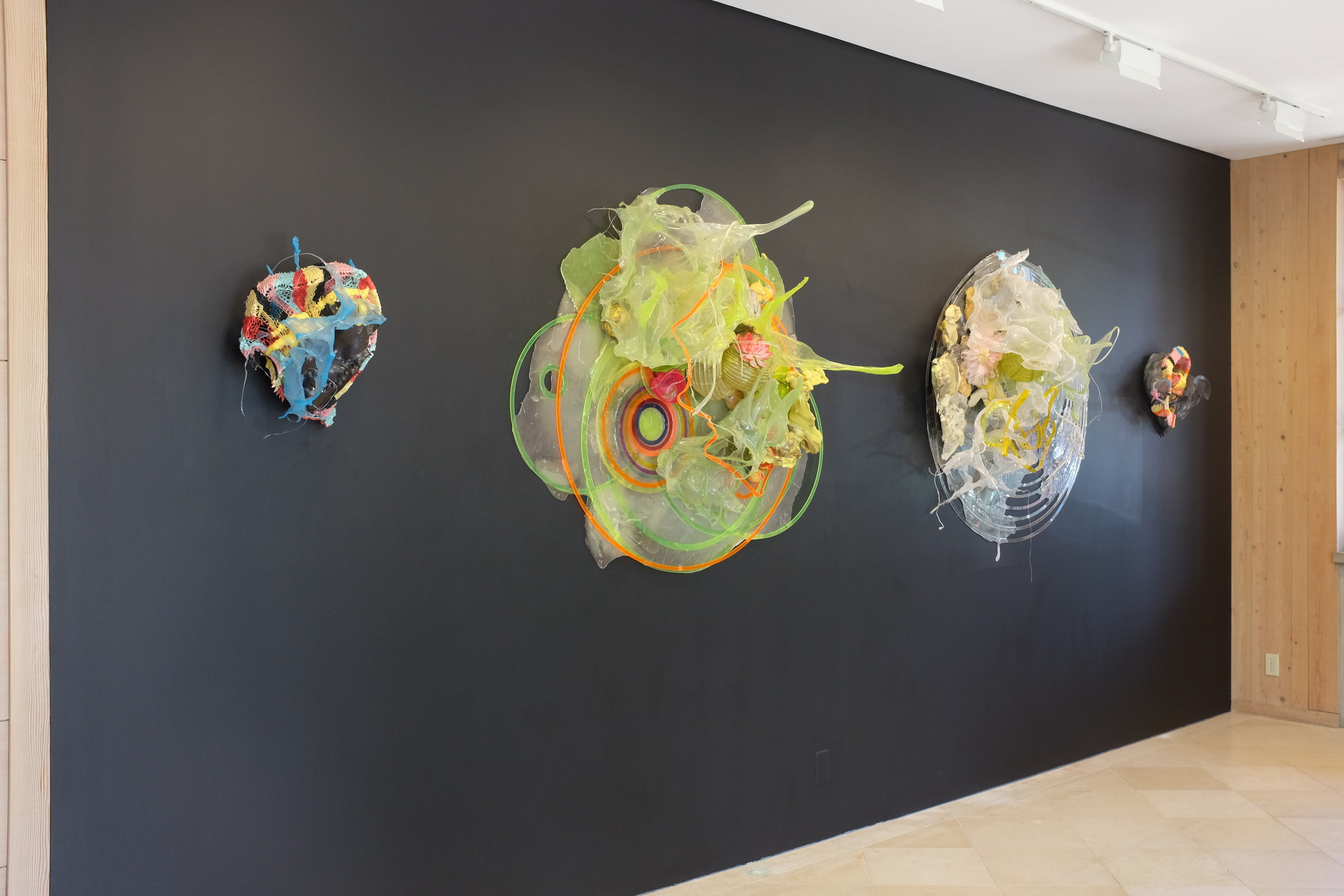   Judy Pfaff: Project Space  June - August 2017   