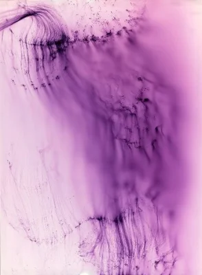 Wolfgang Tillmans Freischwimmer 102 , 2006 C-type print 94 1/2 x 70 7/8 inches (240 x 180 cm)