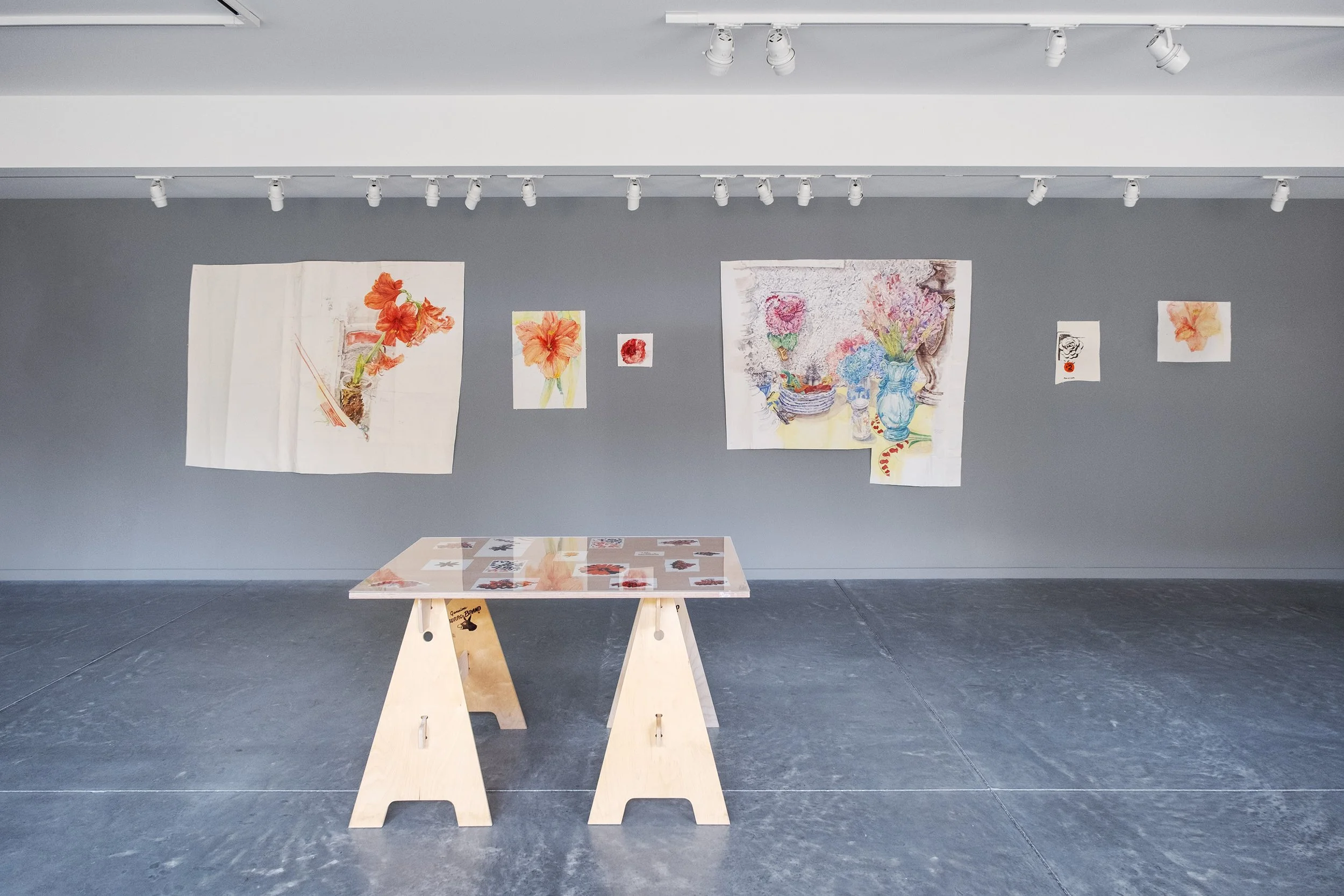   Dawn Clements: Paper Flowers  November 23, 2025 - January 12, 2026 