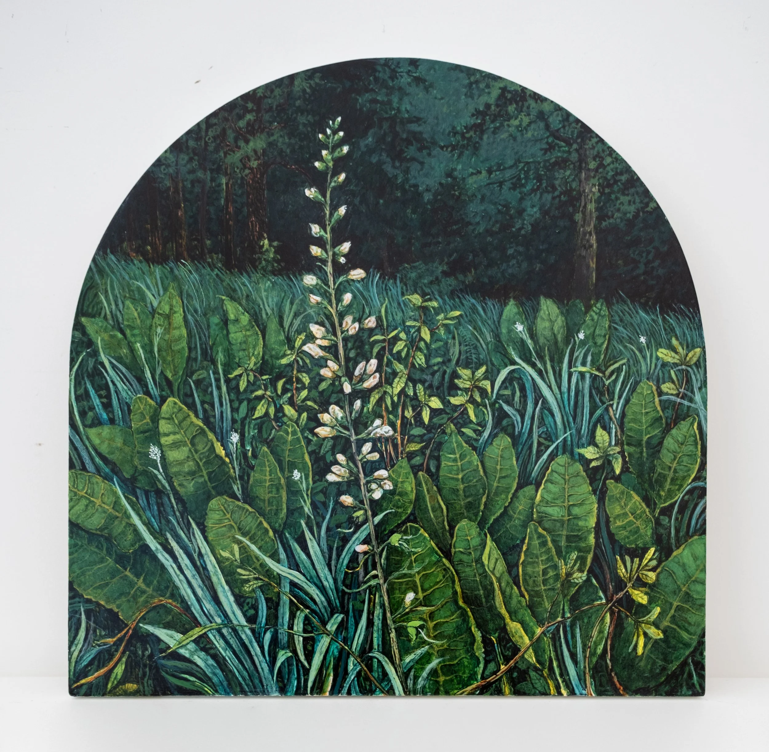   Green Prairie (Chaparral Prairie, Adams County Ohio) , 2026 acrylic on arched panel 20 x 20 inches (50.8 x 50.8 cm) 