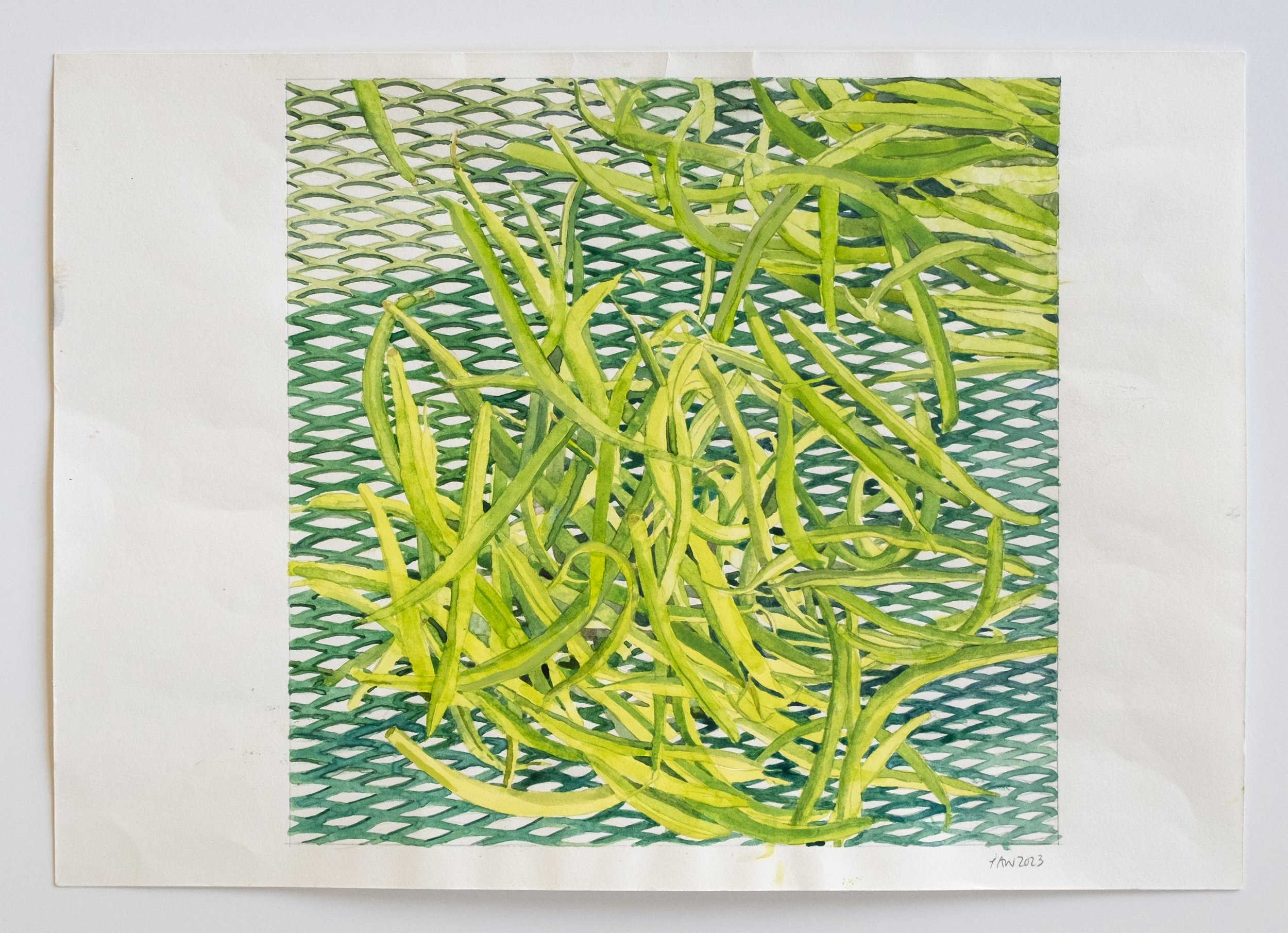   Beans on Grid: Contrast , 2023 watercolor on paper 16 1/2 inches x 11 7/10 inches (42 x 29.7 cm) 