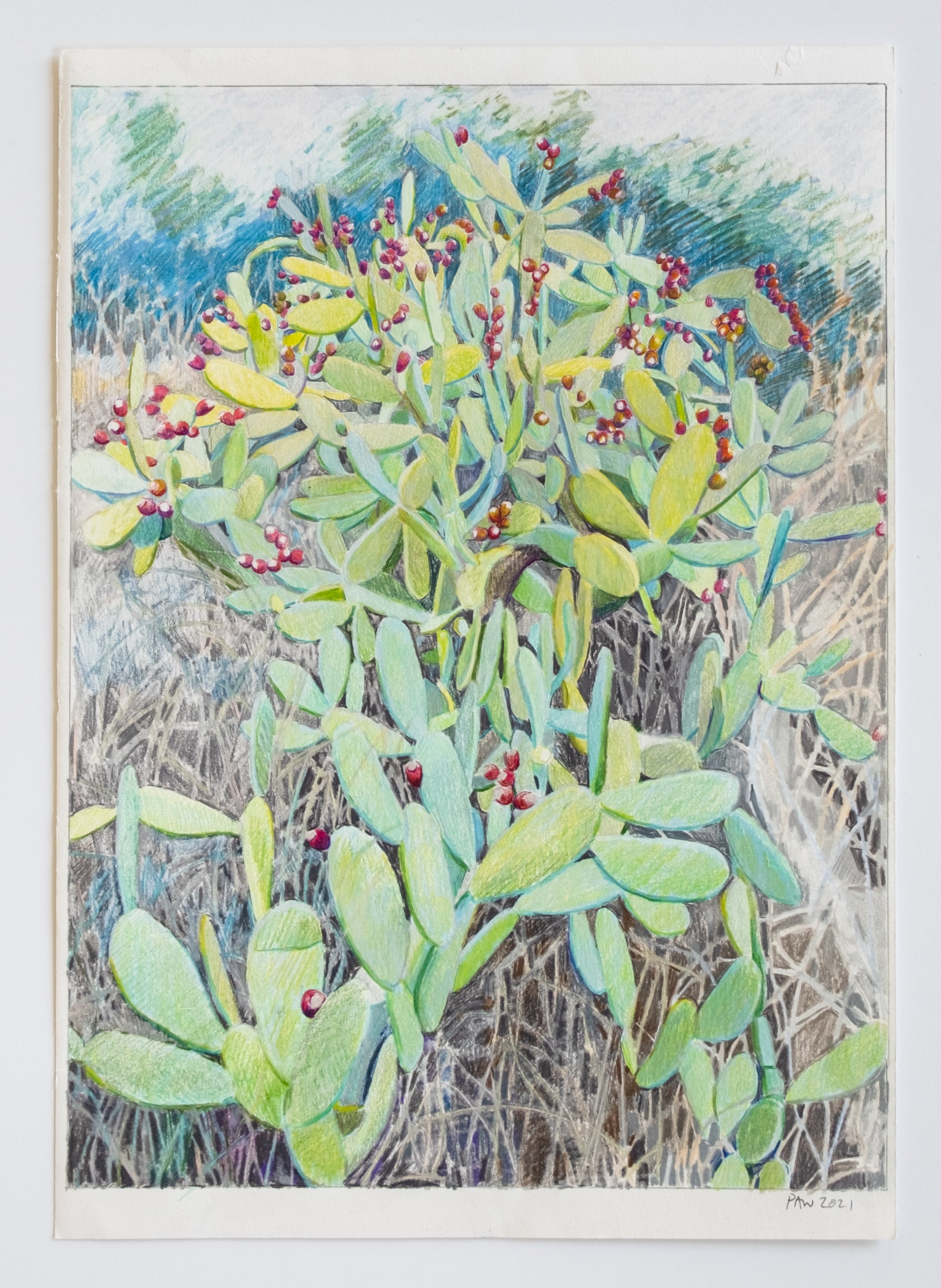   Chumbos I , 2020 mixed media on paper 16 1/2 inches x 11 7/10 inches (42 x 29.7 cm) 