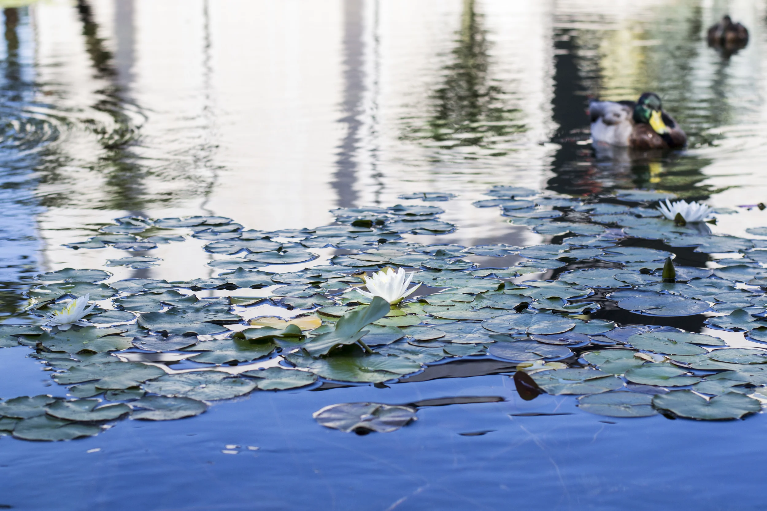 Giving Away Money That Isn’t Mine