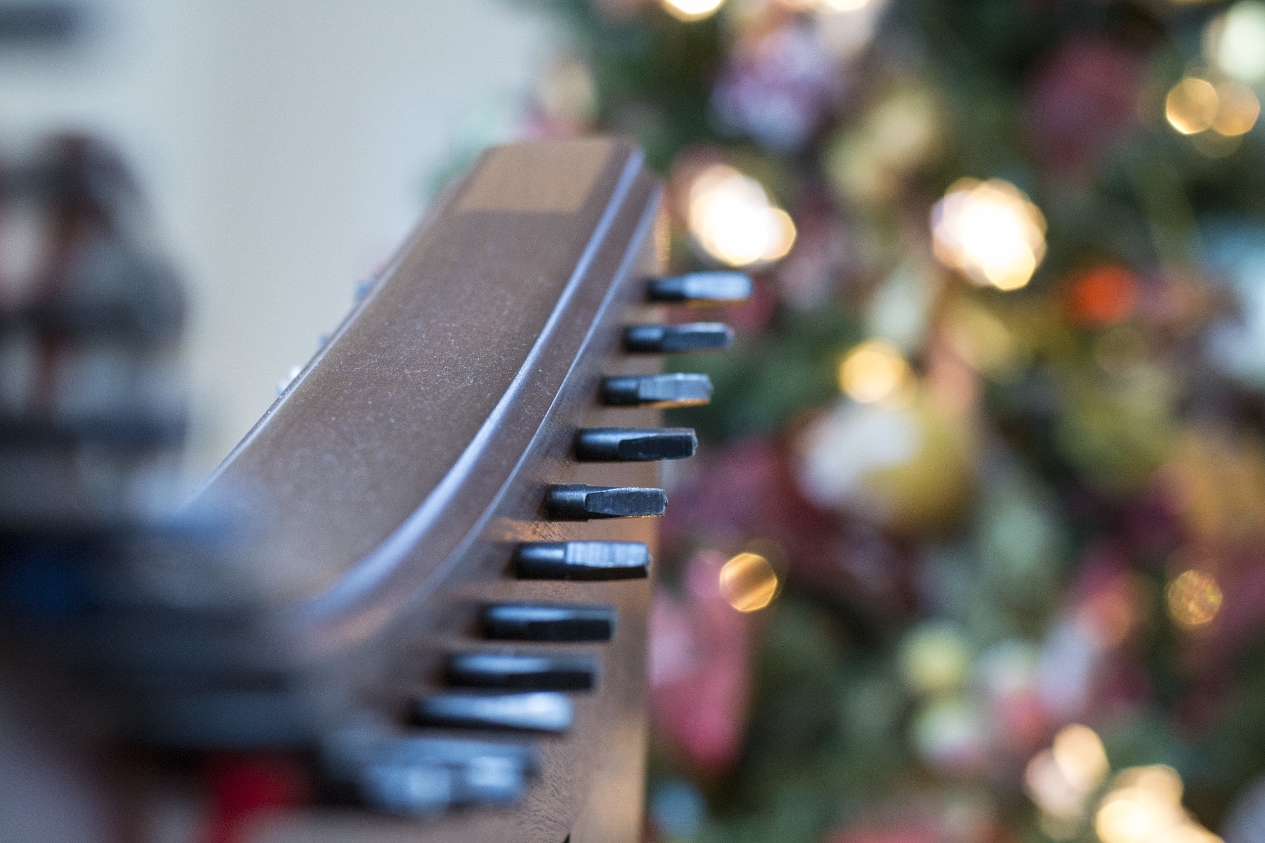 _DSC0249_Christmas 2013