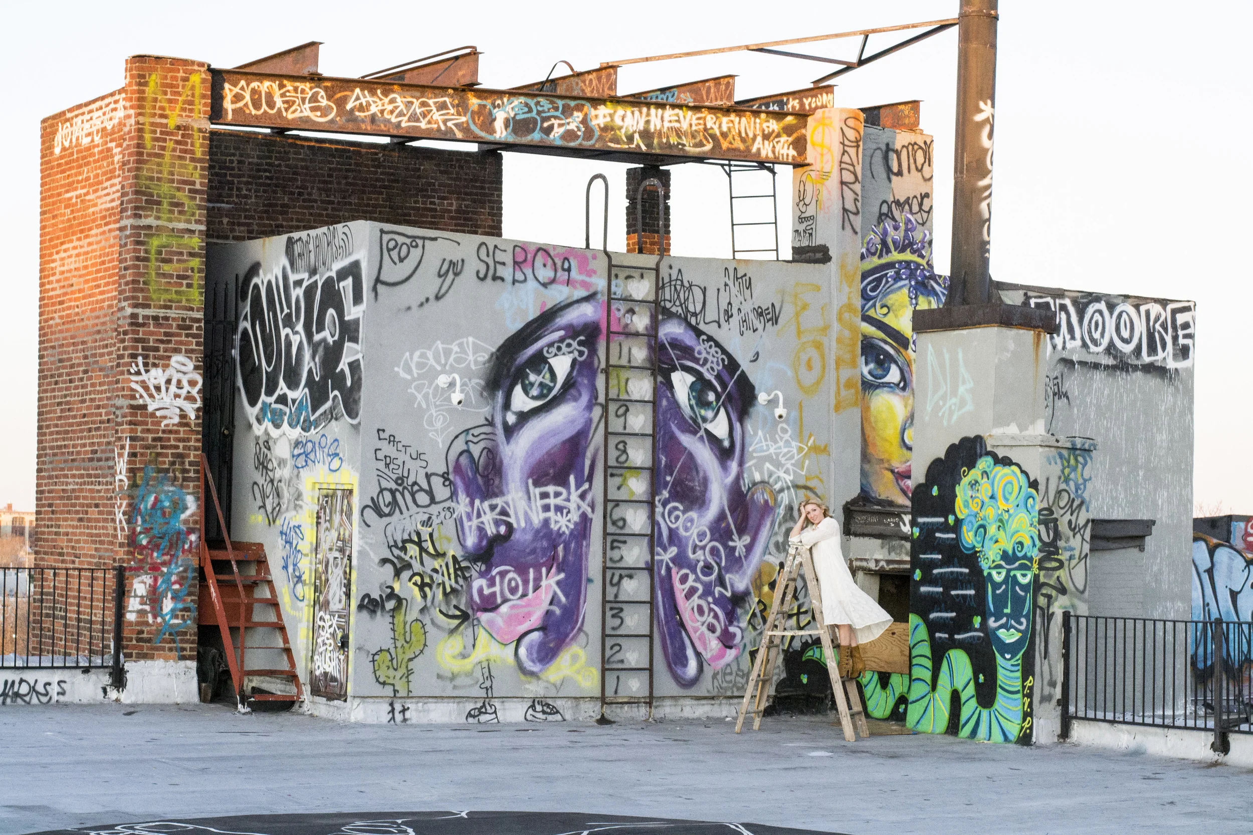 20150403_0358_ALiew_SJShanks Collab.JPG