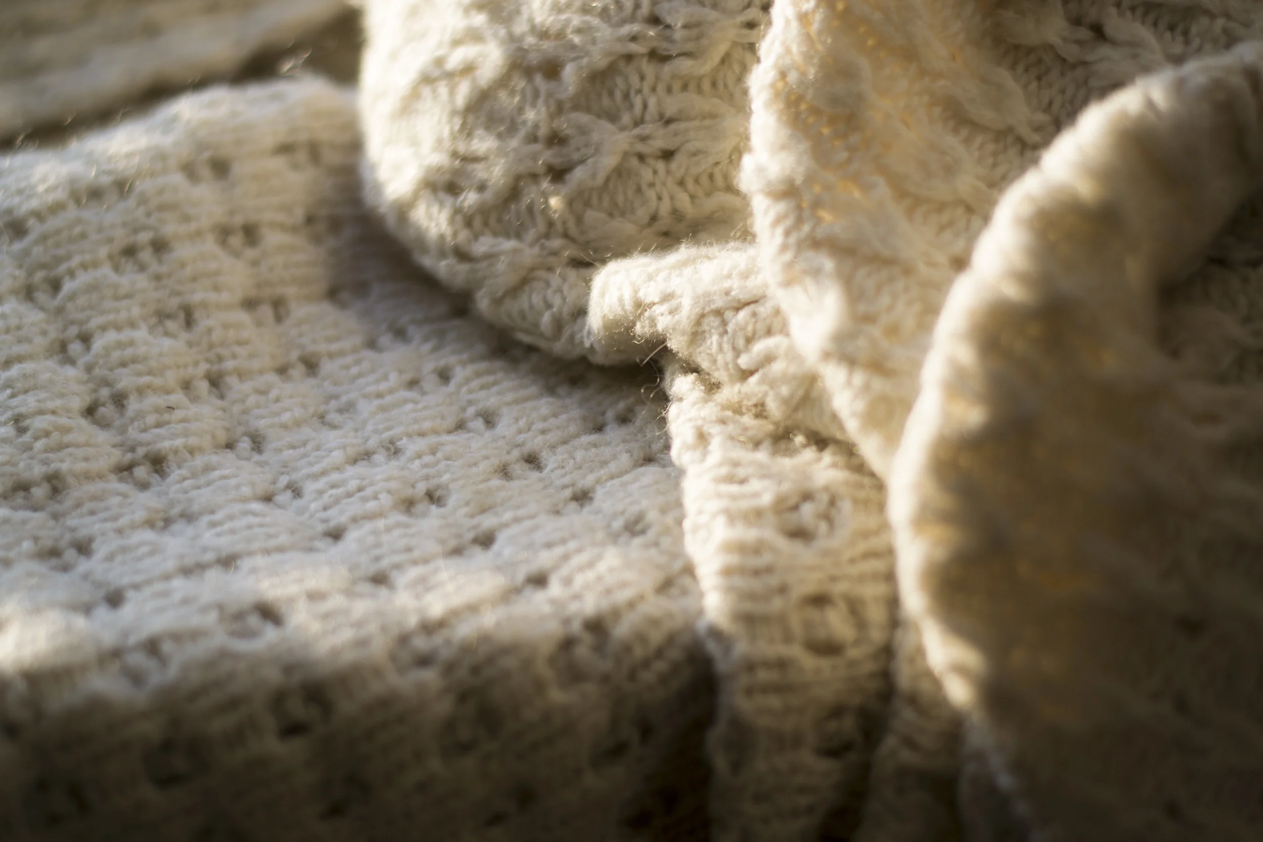 20150403_0241_ALiew_SJShanks Collab.JPG