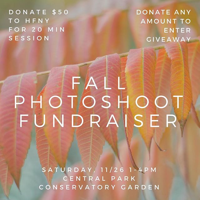 FRIENDS! I'm doing a little experiment. For the first time ever, I'm offering up photography sessions to the public, but with a twist. I'm using my skills to try and fundraise over $1,000 for @hfny AND provide photography at a below-market rate so pe