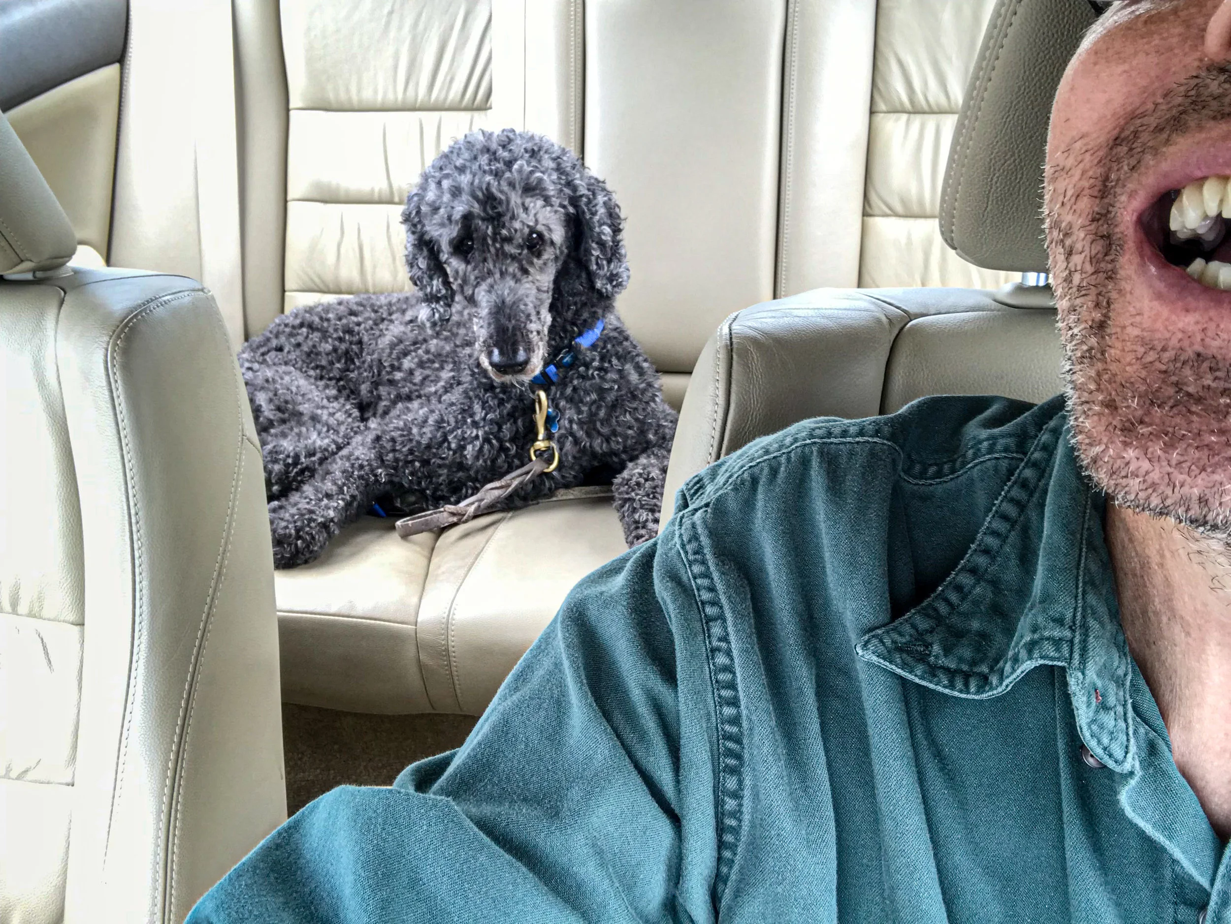 A nice ending to any journey - bringing Pogo home!